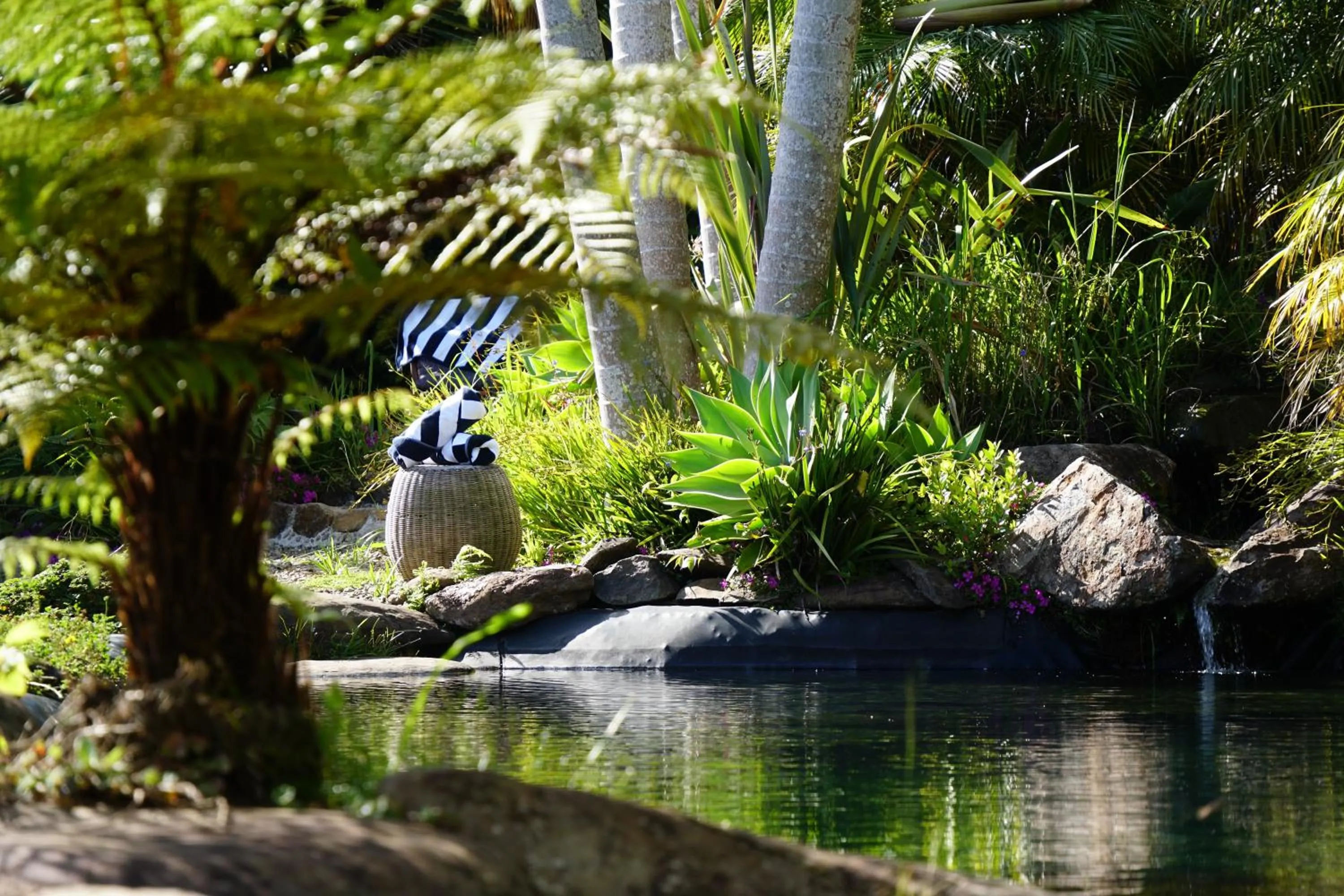 Natural landscape in Avalon Resort