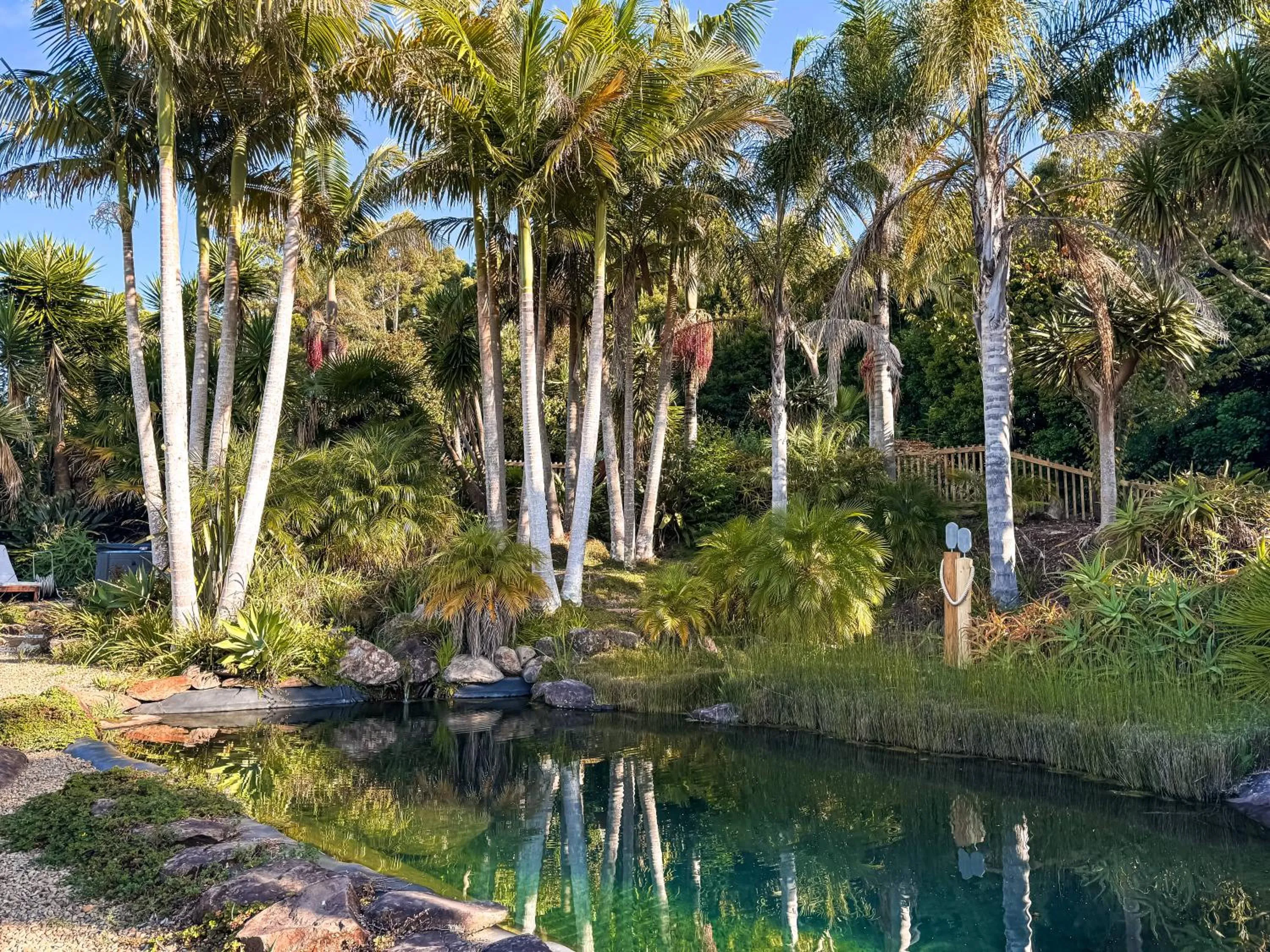 Pool view in Avalon Resort