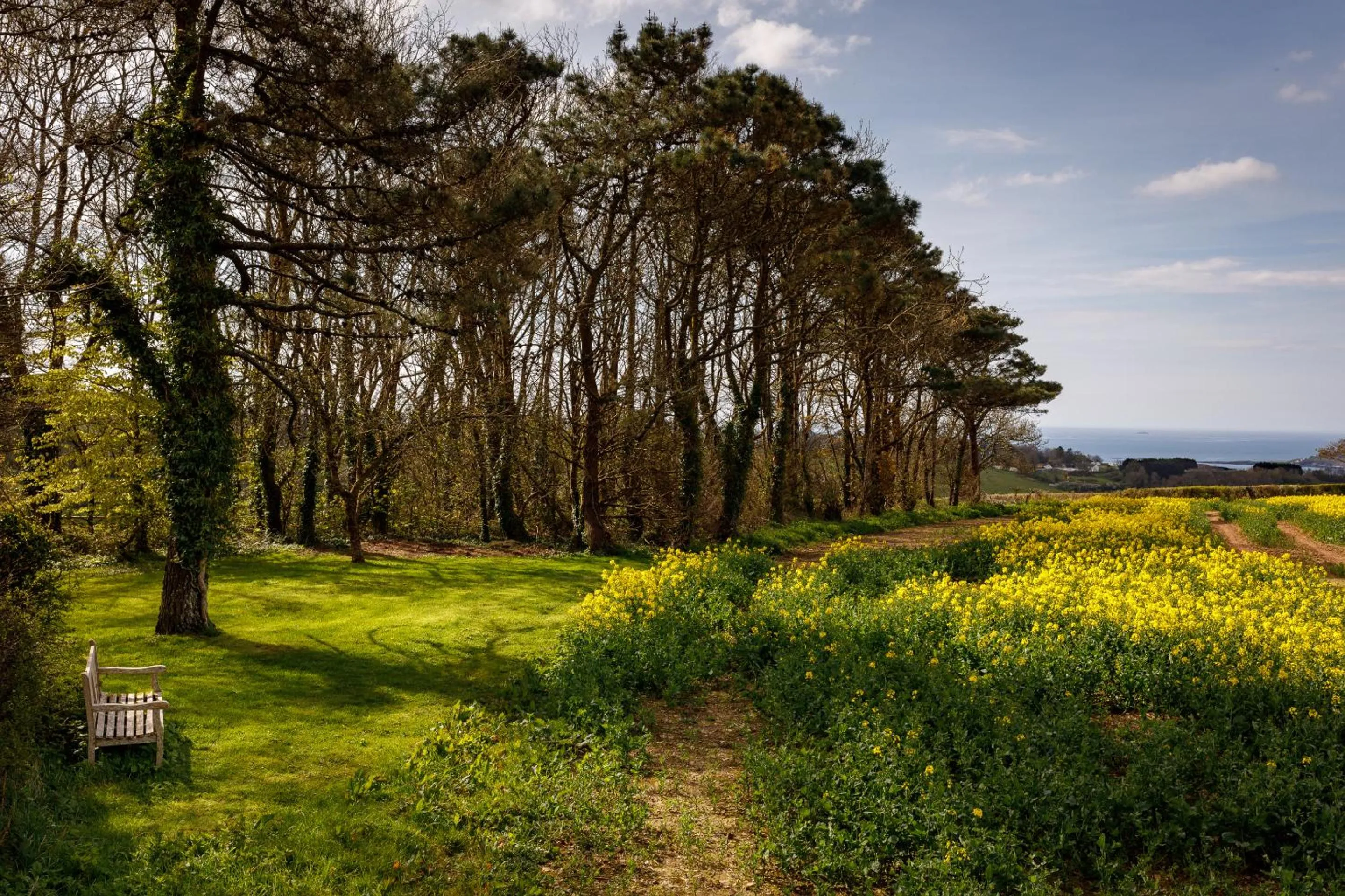 Neighbourhood in Bucklawren Farm