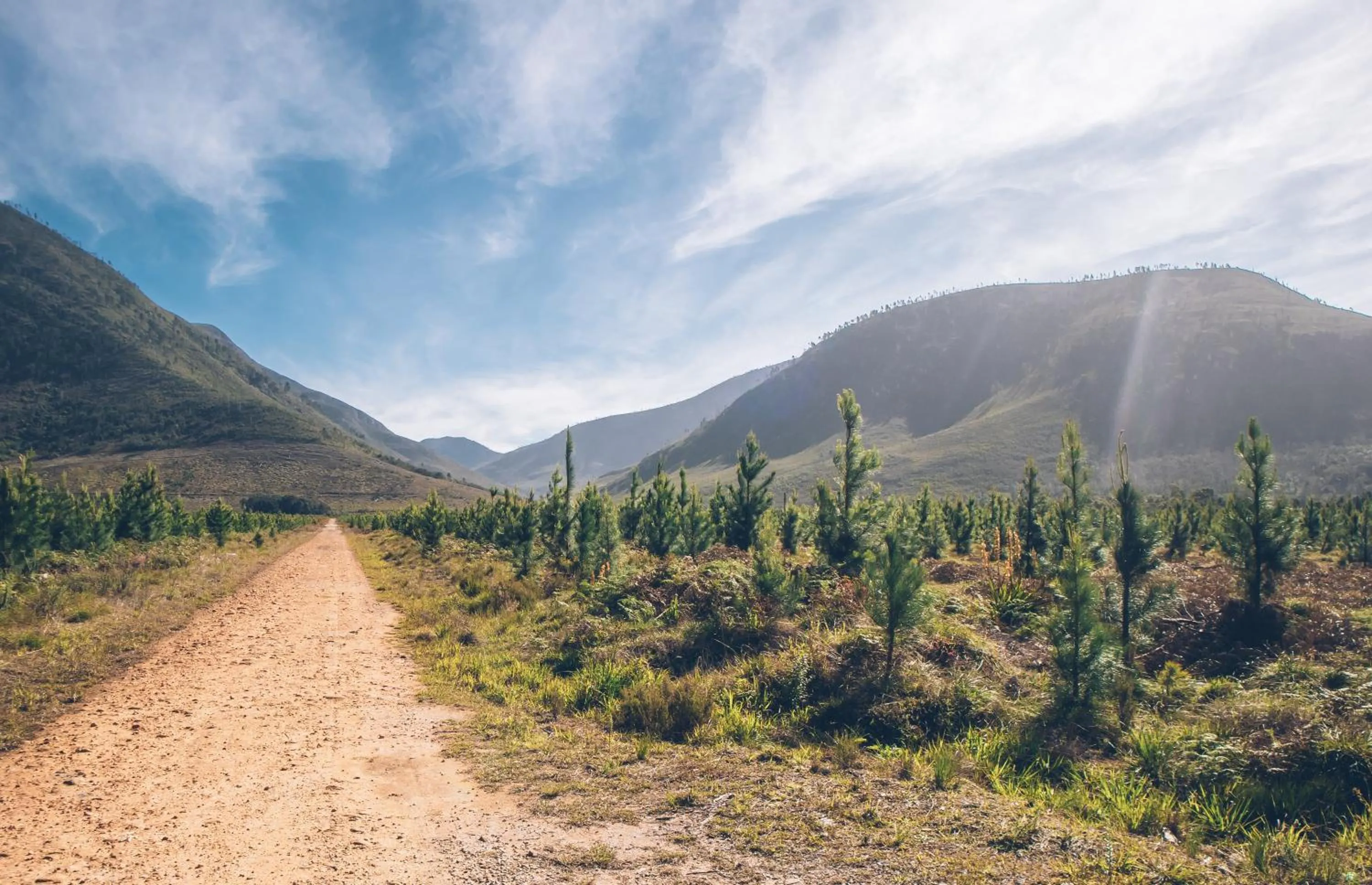 Hiking in Tsitsikamma Lodge & Spa