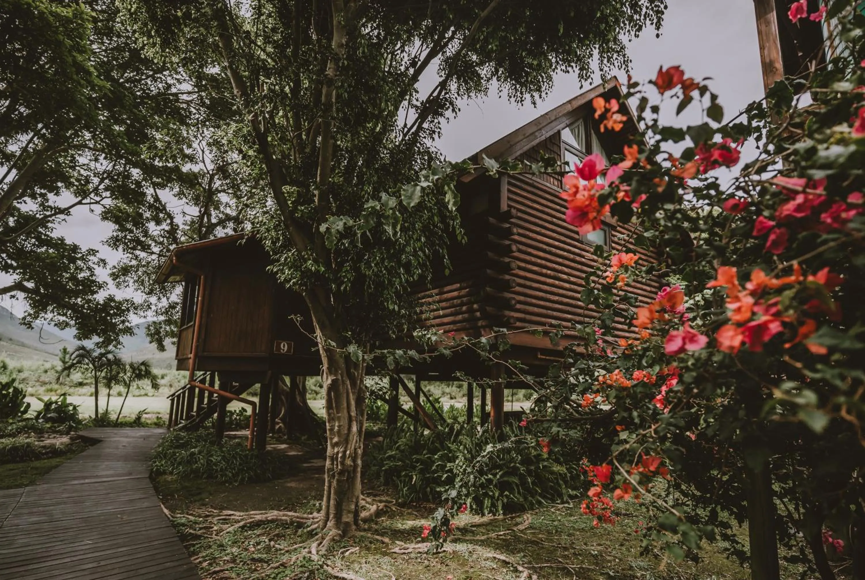 Property building in Tsitsikamma Lodge & Spa