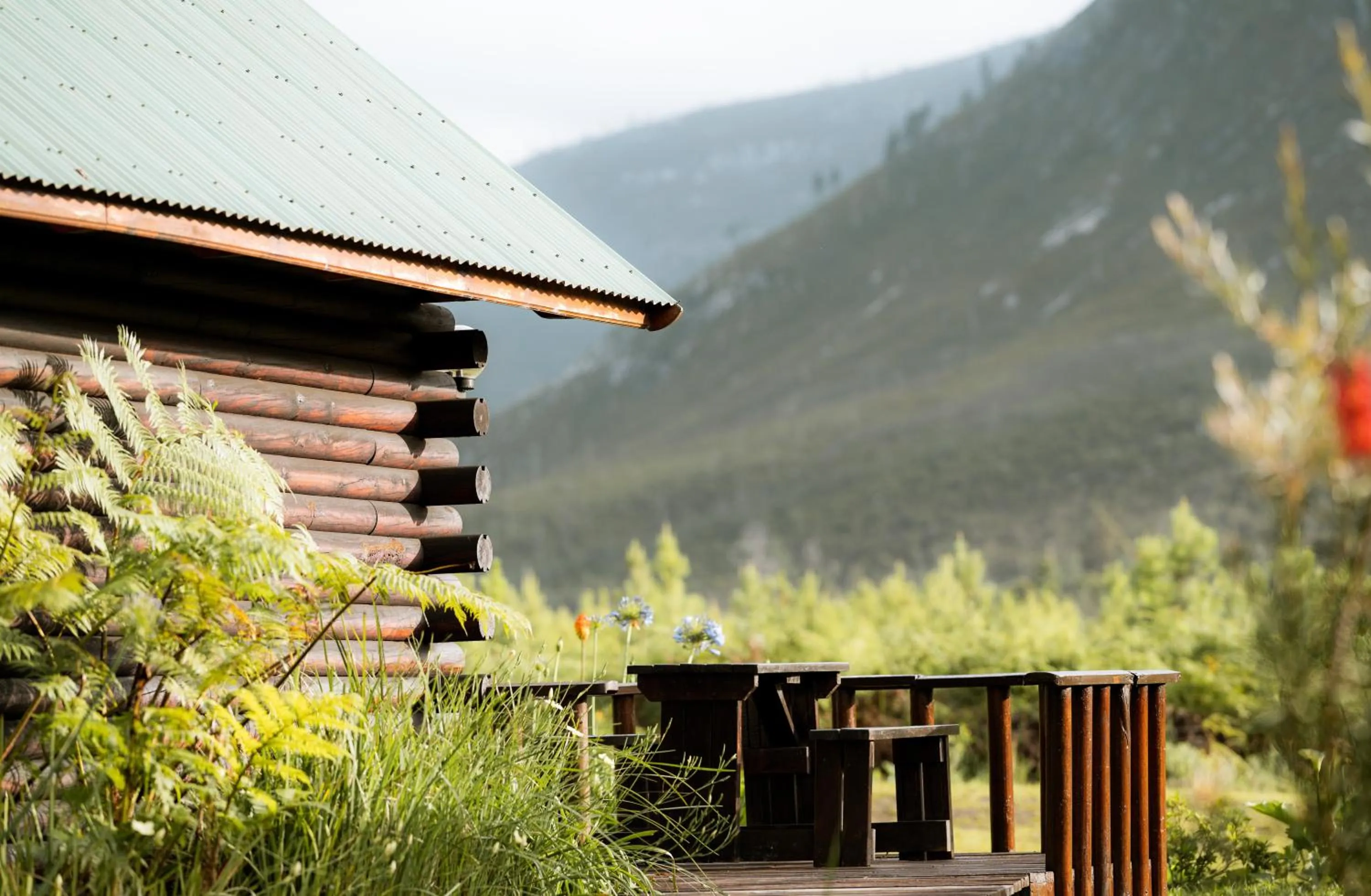 Property building in Tsitsikamma Lodge & Spa