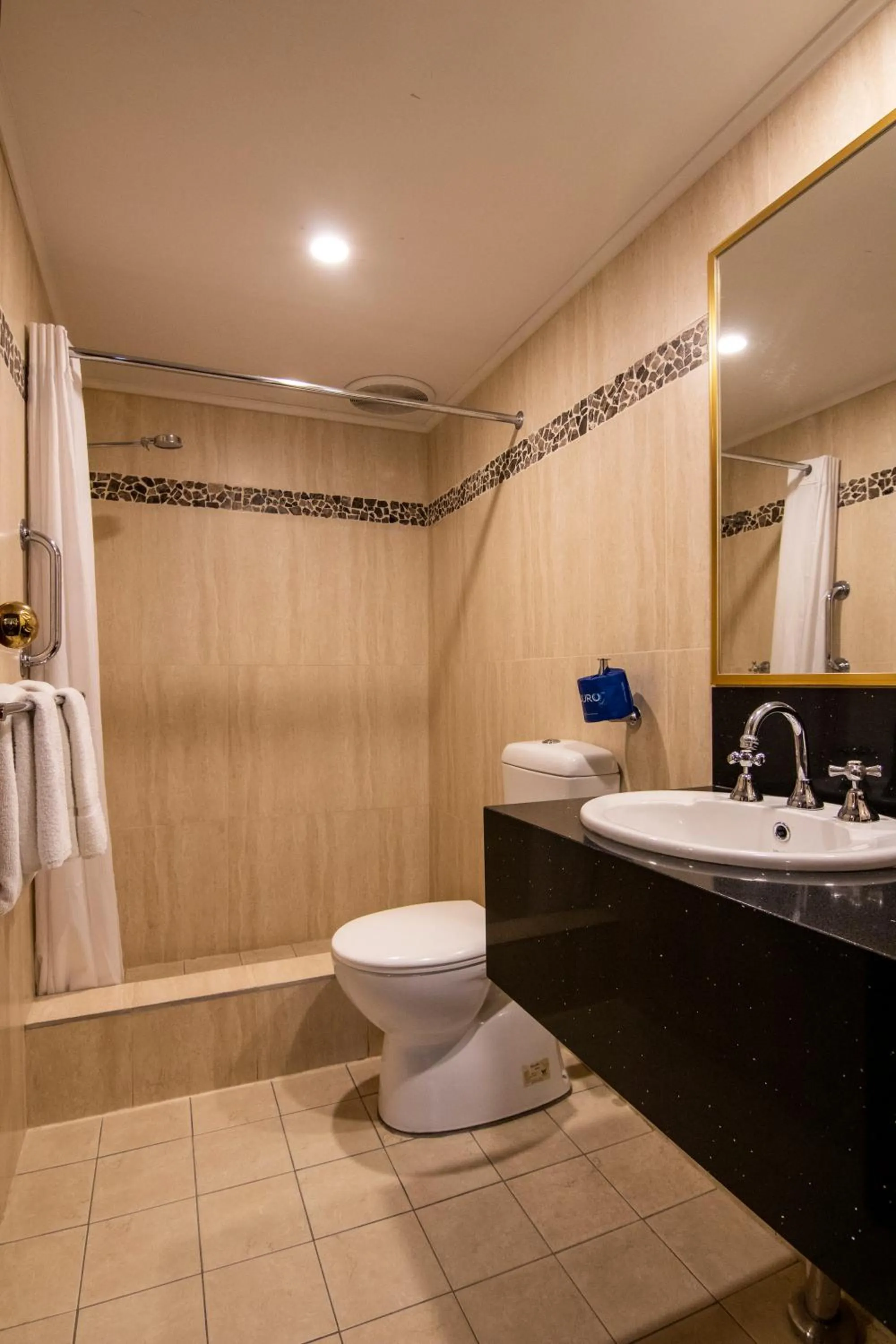 Albury Georgian Motel & Suites