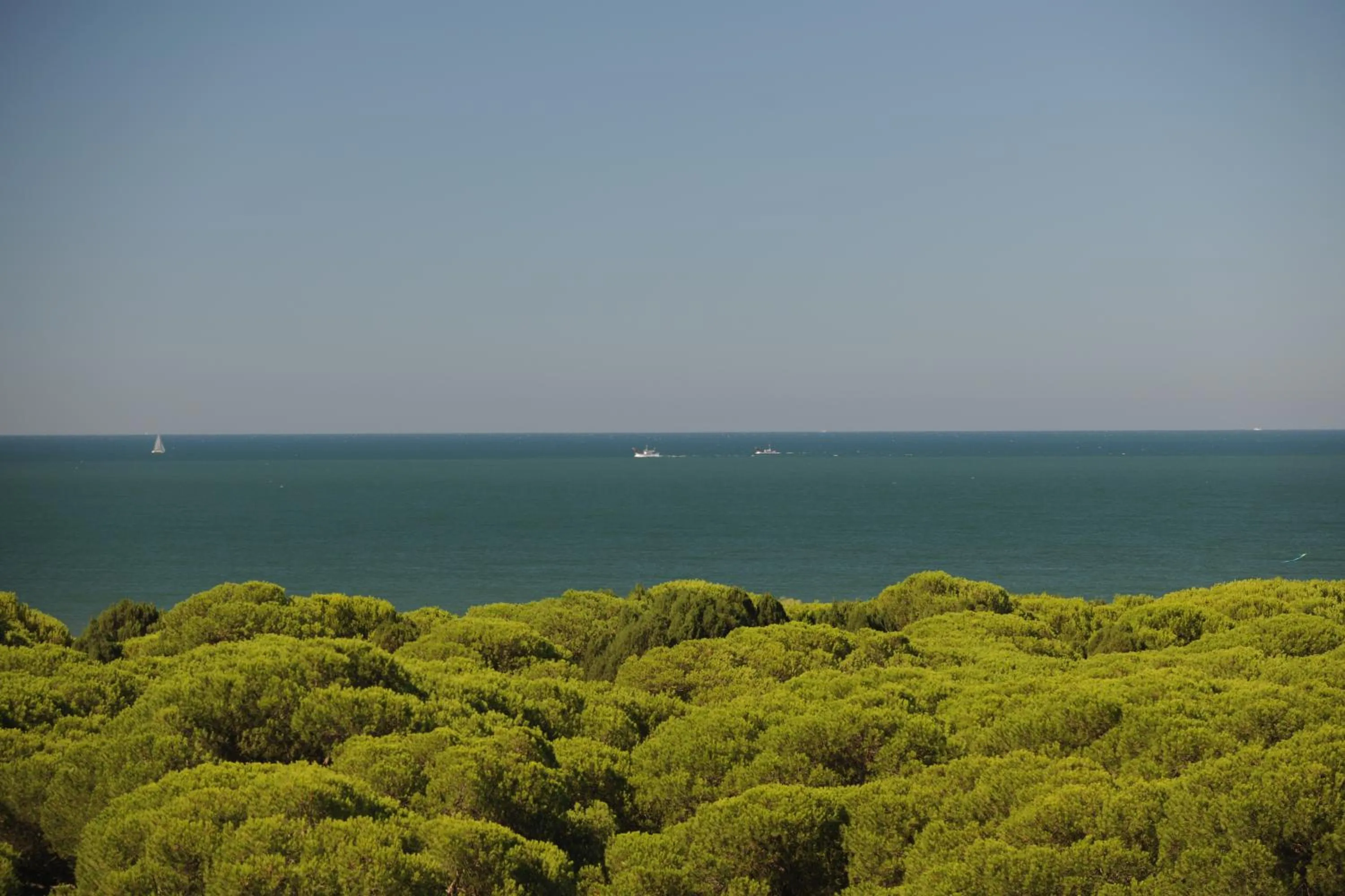 Natural landscape in Leo Deluxe Punta Umbría