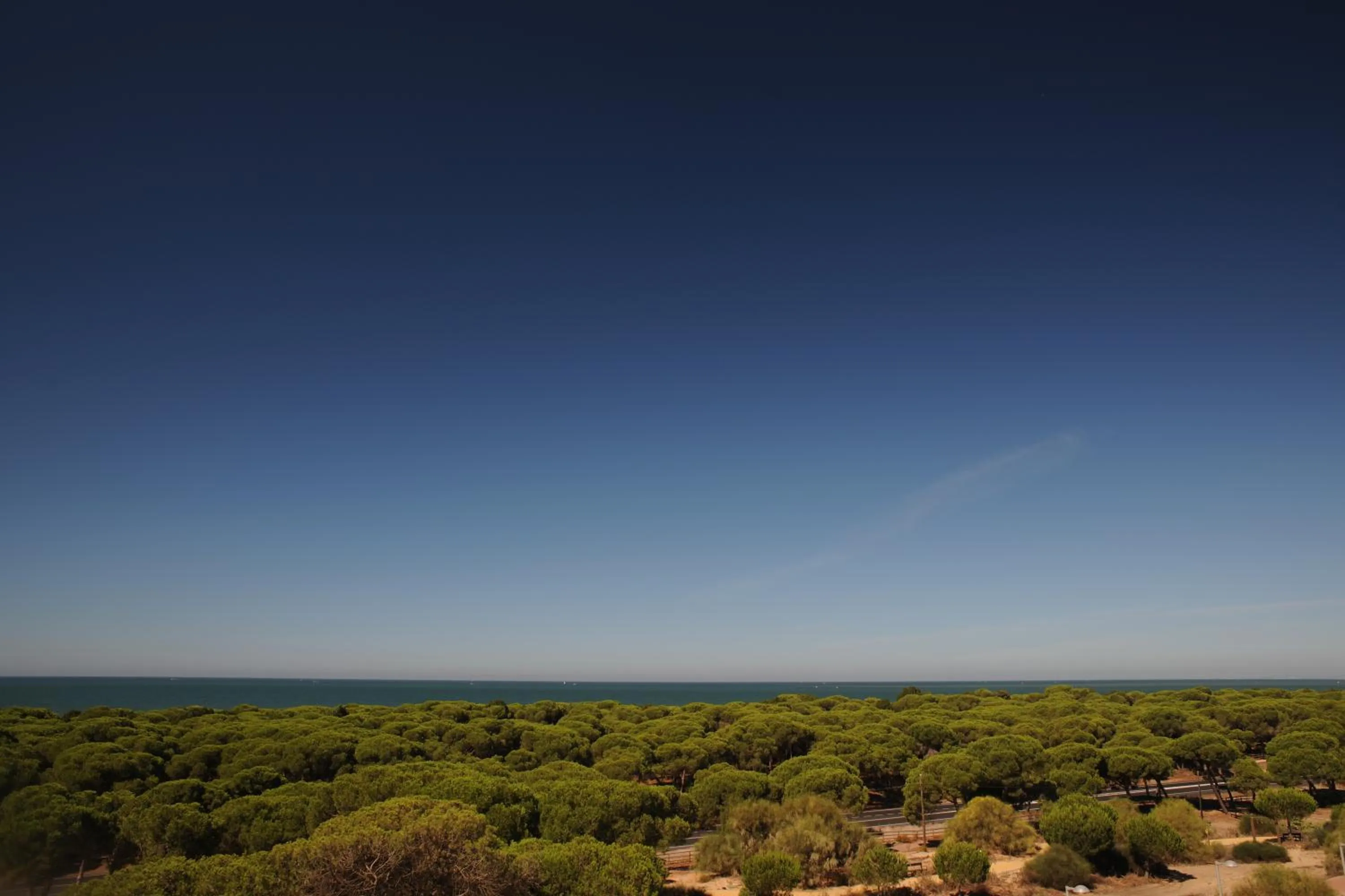 Natural landscape in Leo Deluxe Punta Umbría