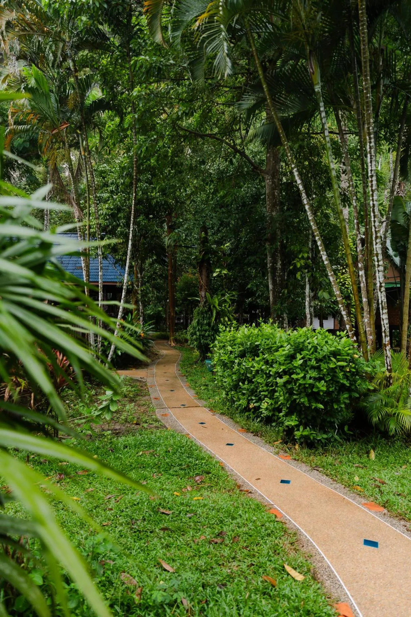 The Vatika Resort and Spa