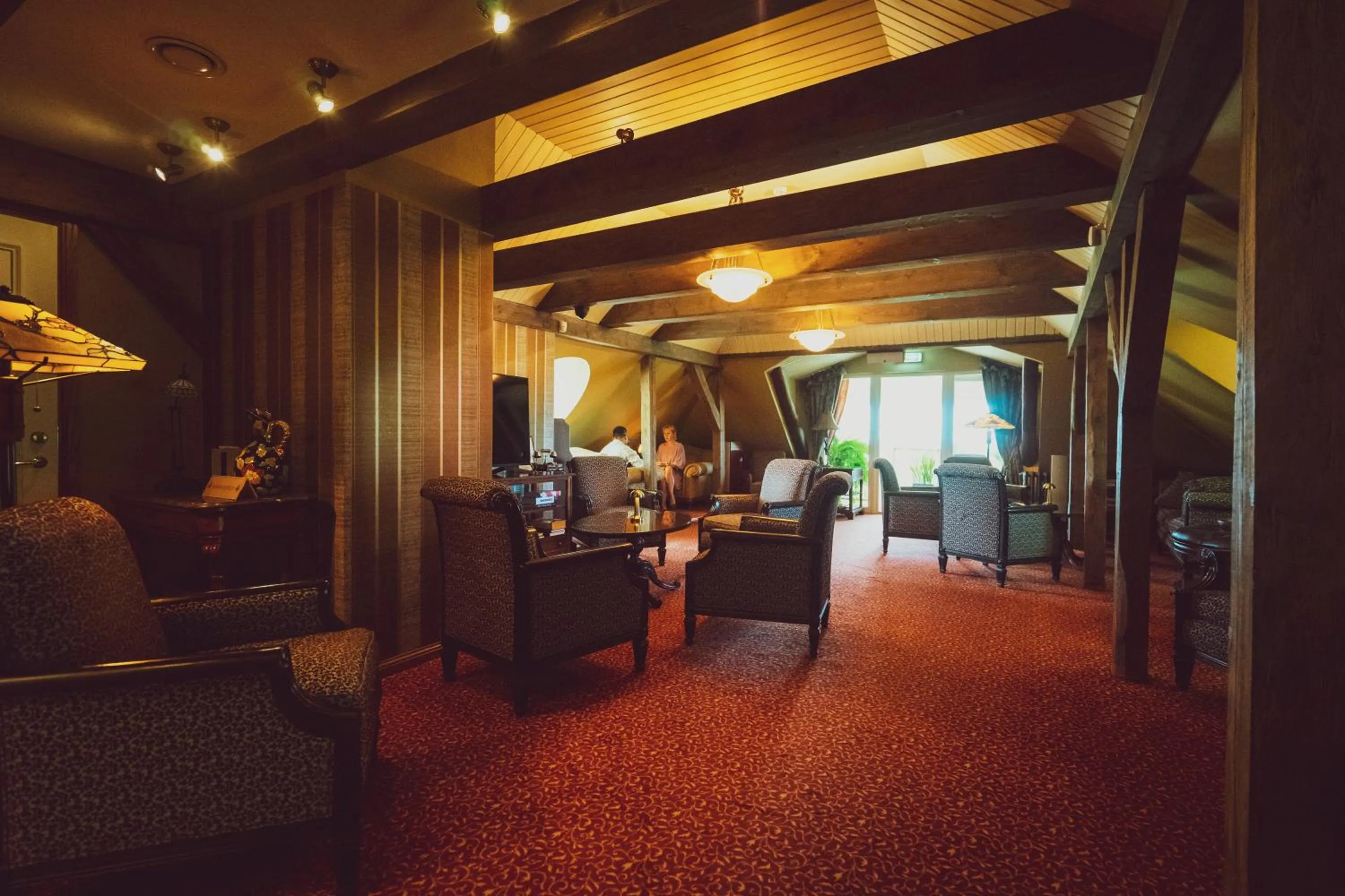 Library in Ekesparre Boutique Hotel