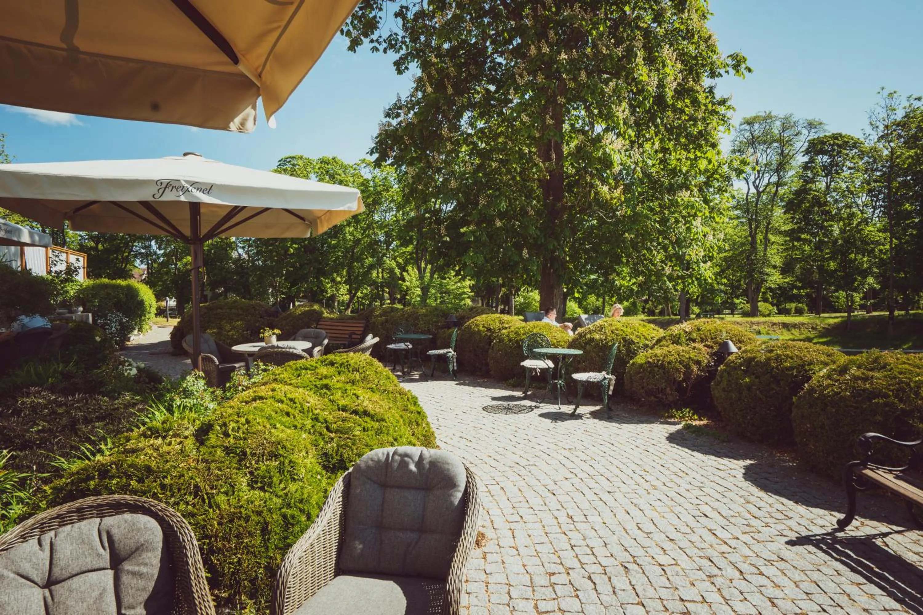 Garden view in Ekesparre Boutique Hotel