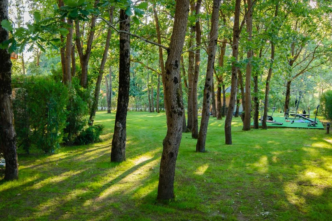 Patio in Sunrise Hotel
