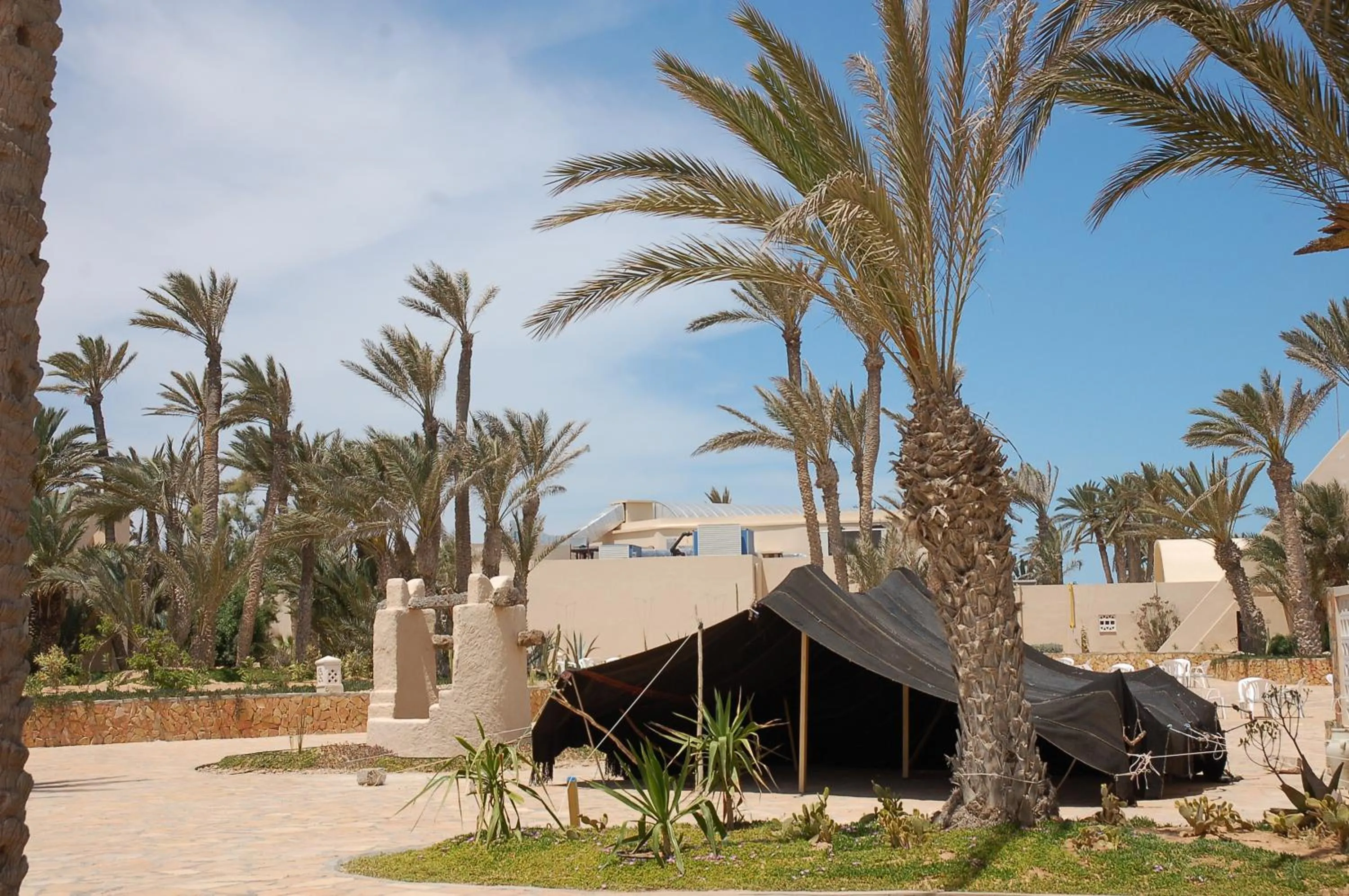 Garden in Zita Beach Resort