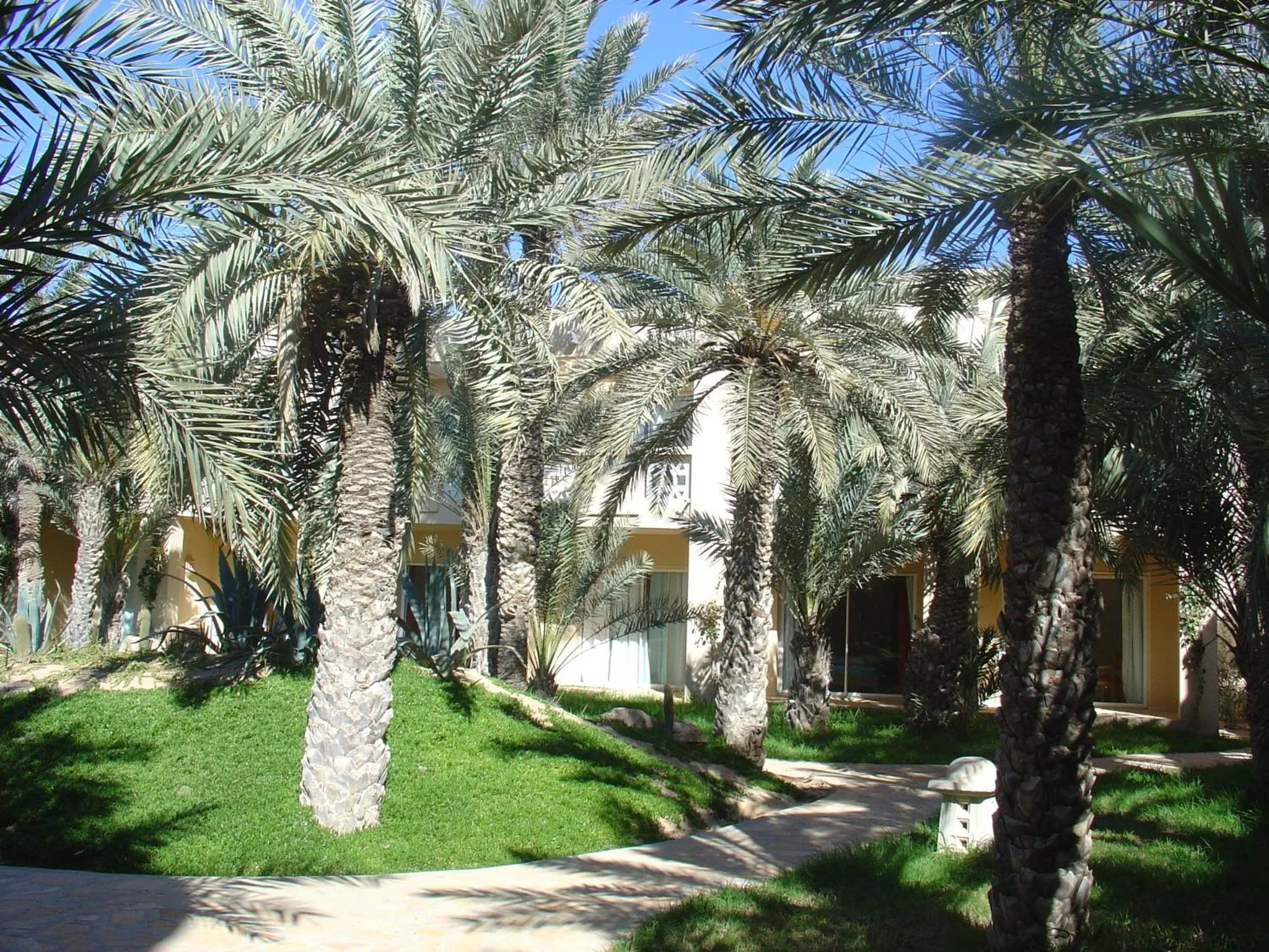 Garden in Zita Beach Resort