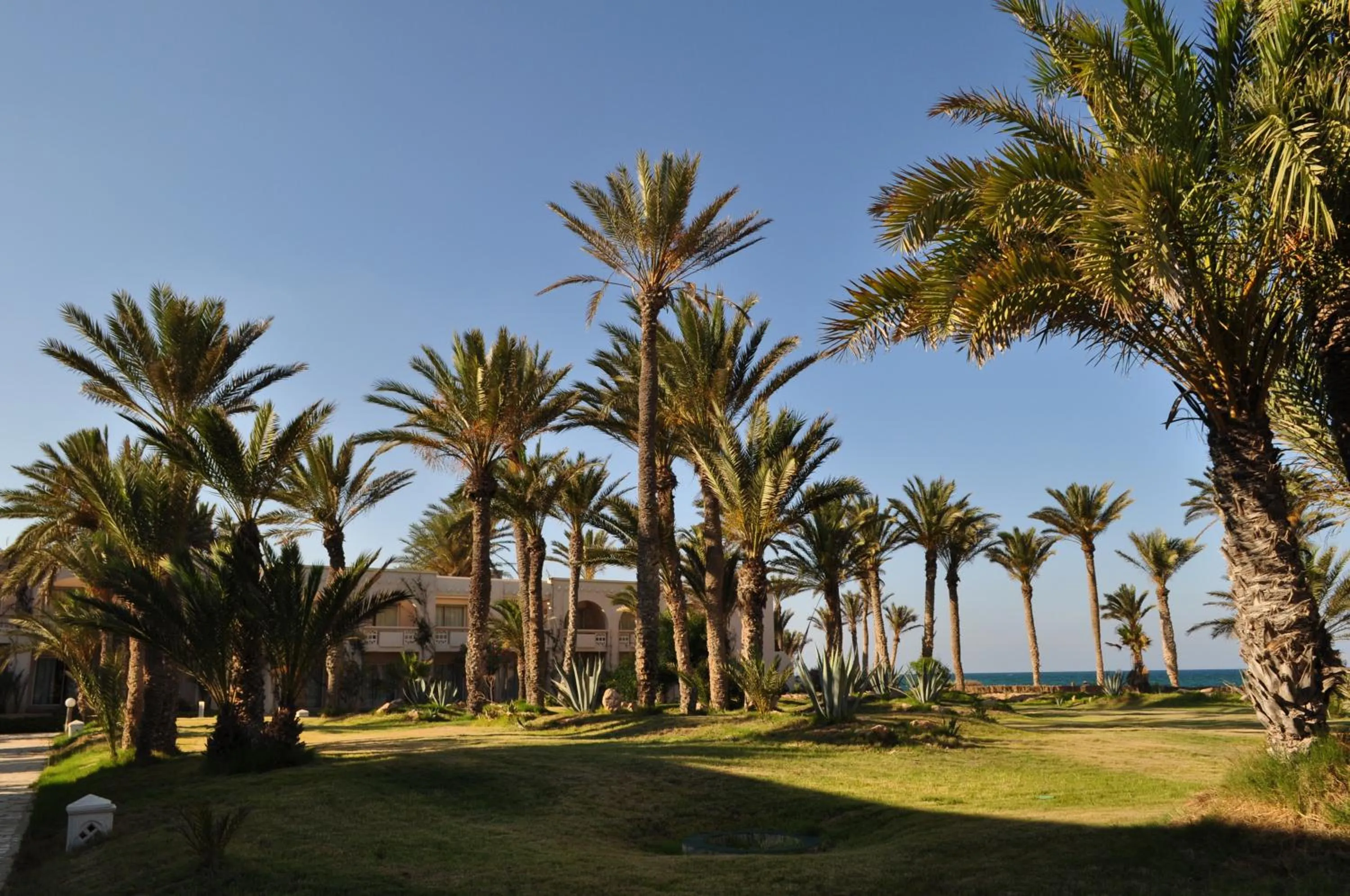 Garden in Zita Beach Resort