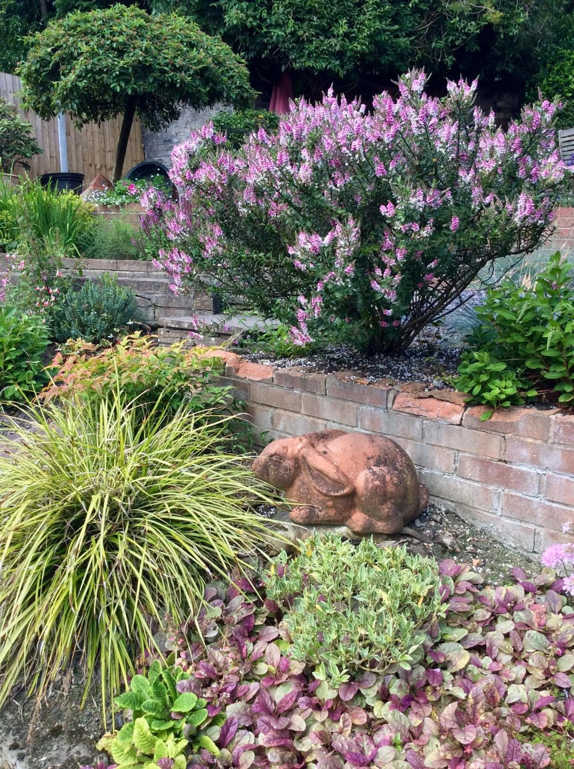 The Library House B&B