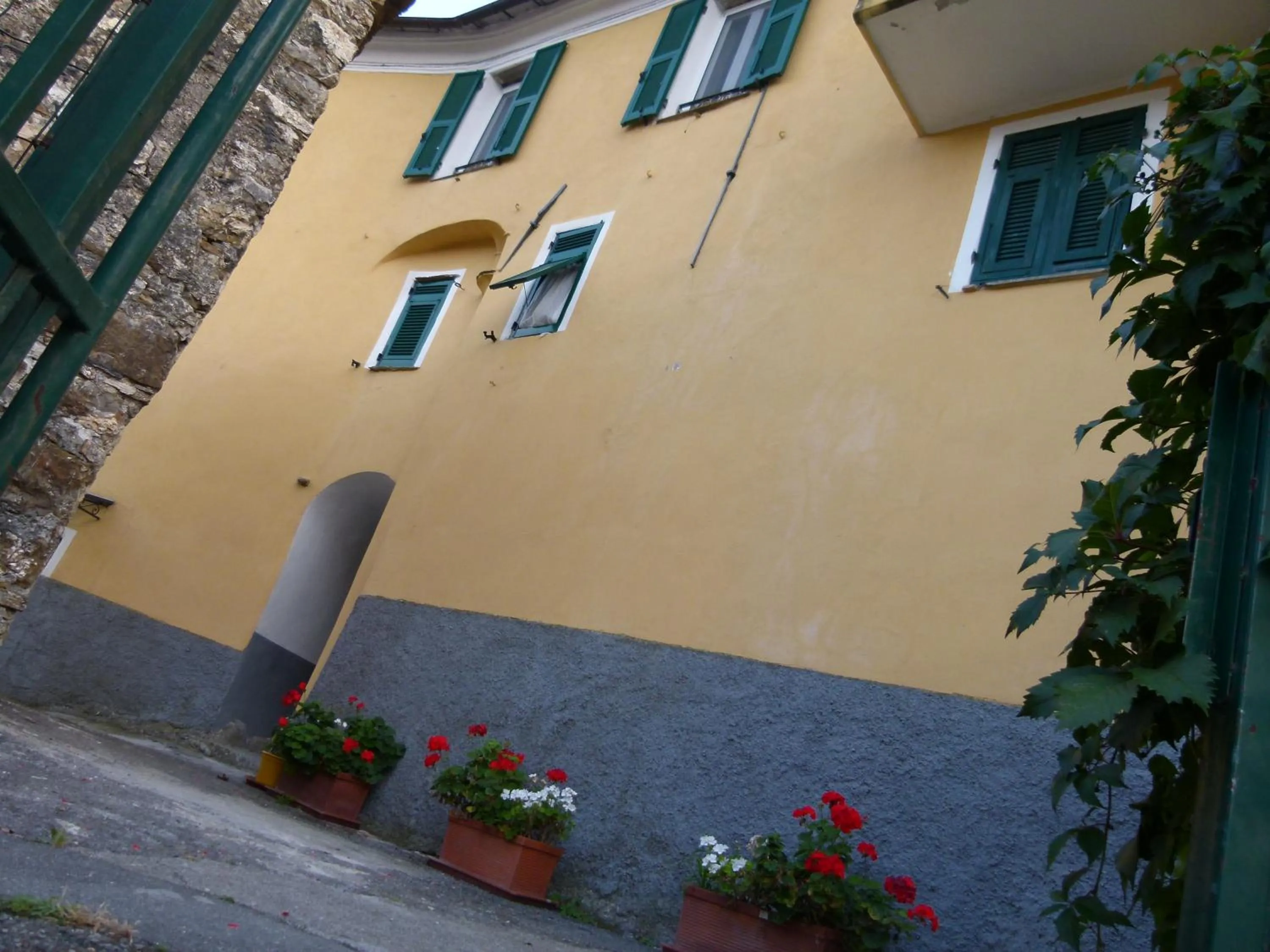 Agriturismo IL POGGIO DI VASIA CITR00864-AGR-0001