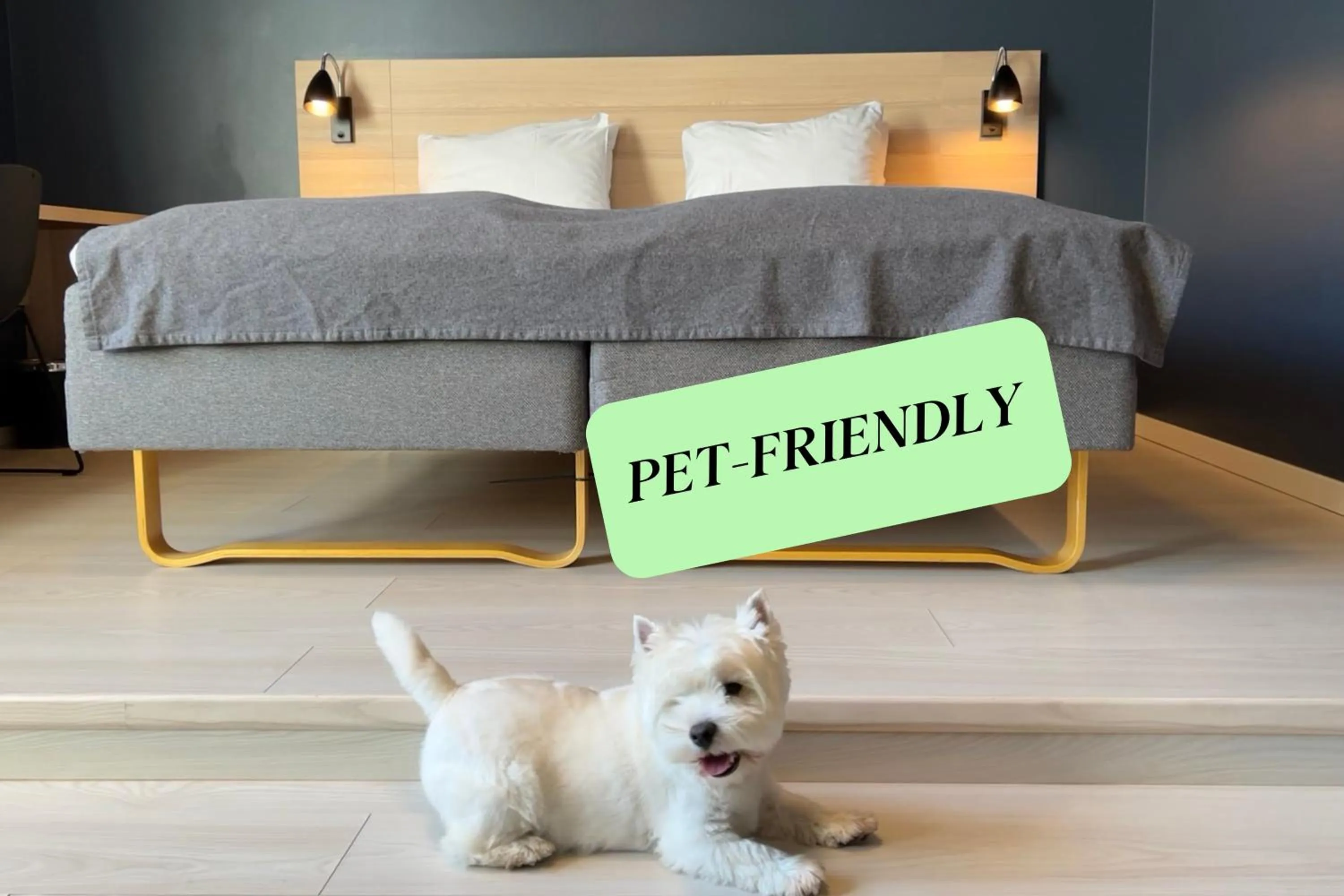 Bed in Citybox Bergen City