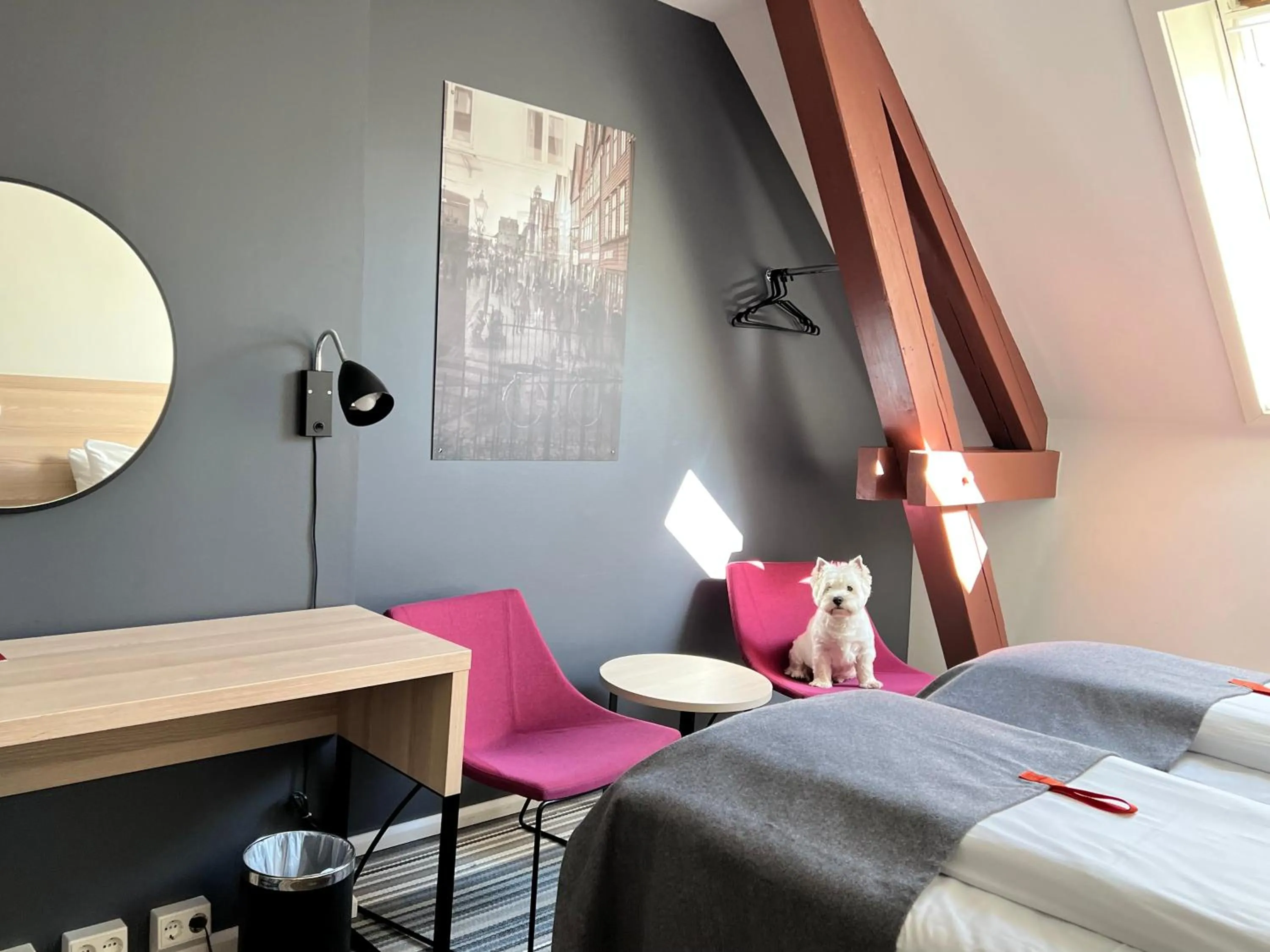 pet friendly, Bed in Citybox Bergen City