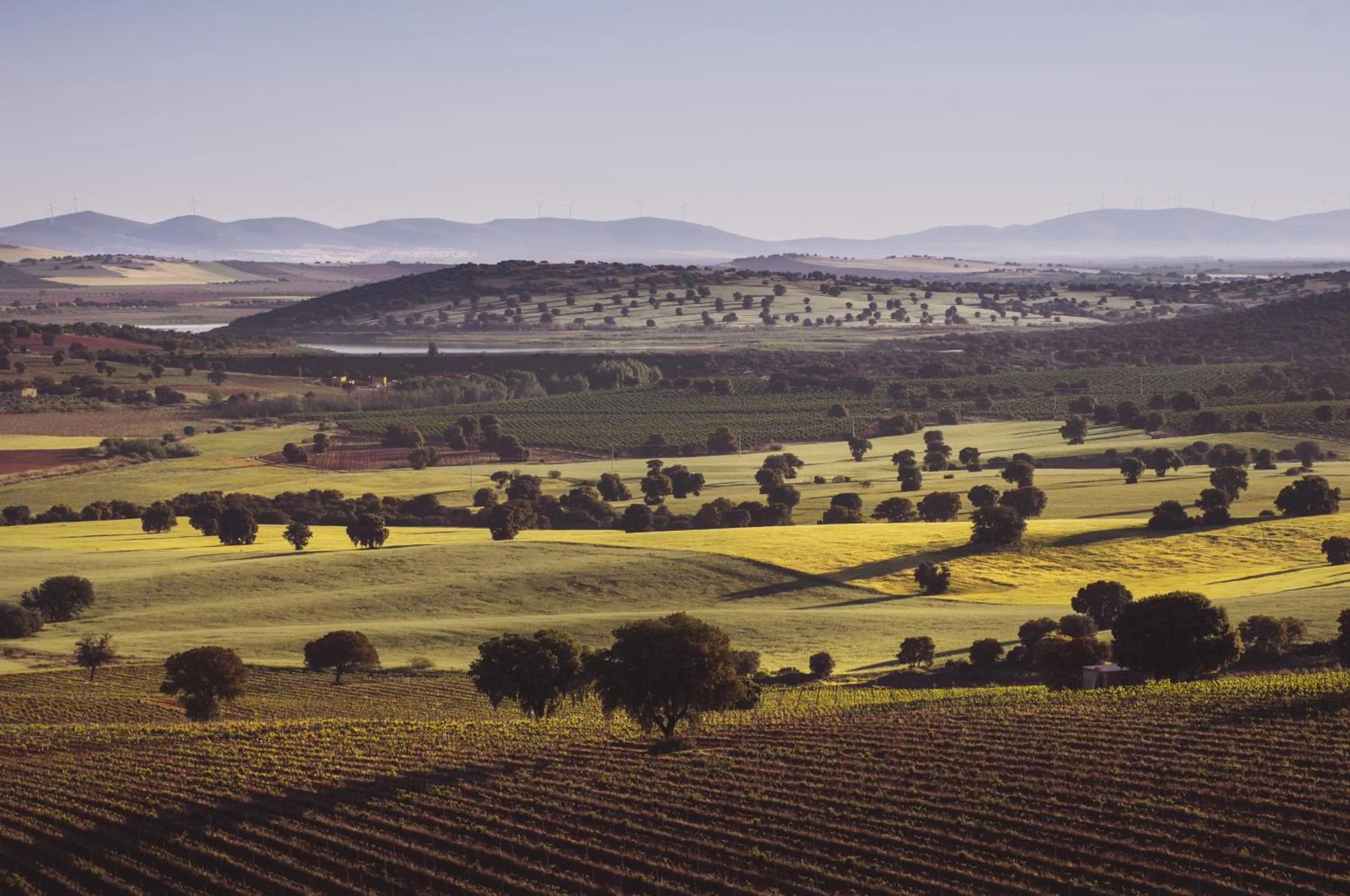 Entertainment in Hotel La Caminera Club de Campo