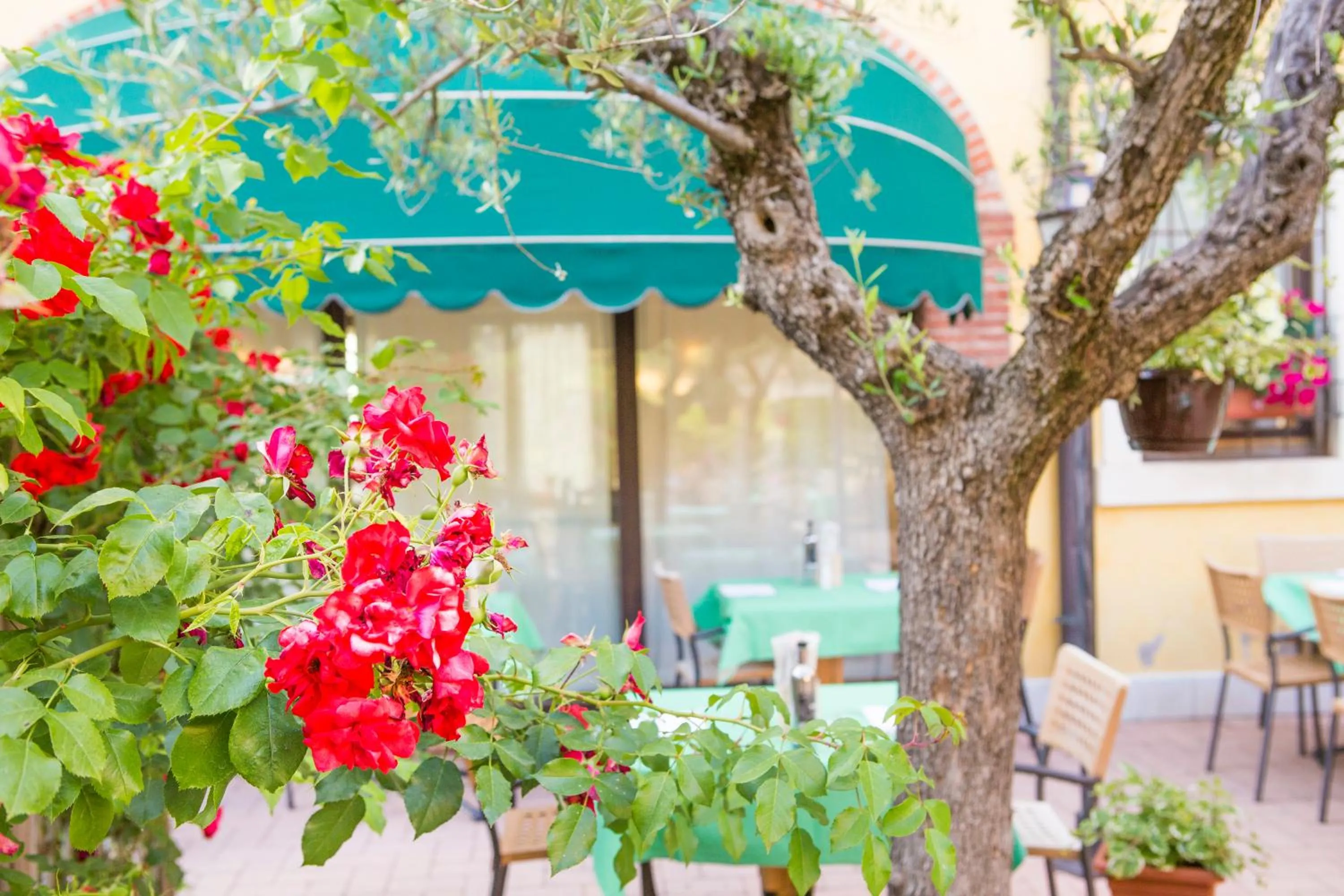 Facade/entrance in Hotel Antichi Cortili