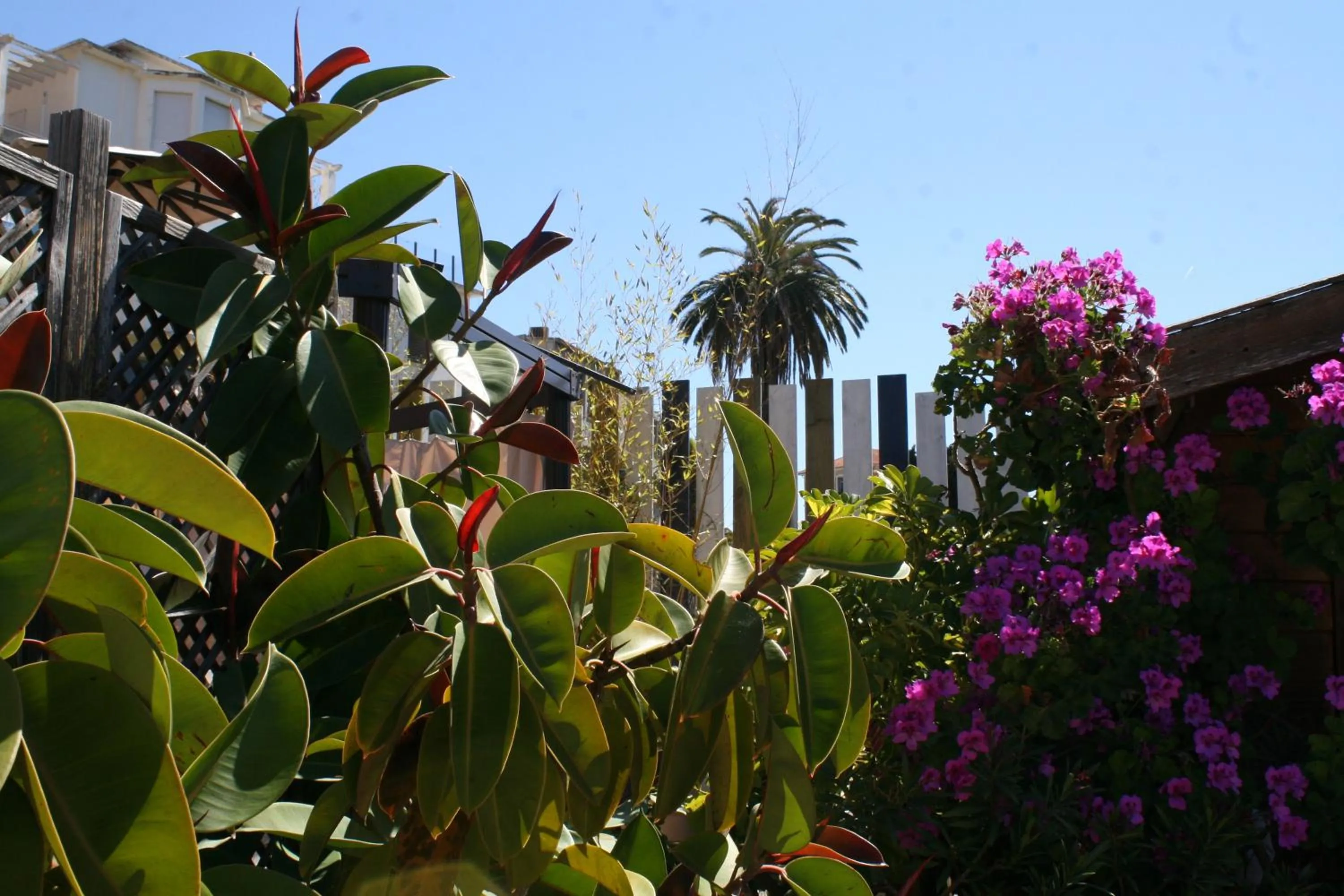 Garden in Hôtel La Villa Patricia - Charme et Tradition