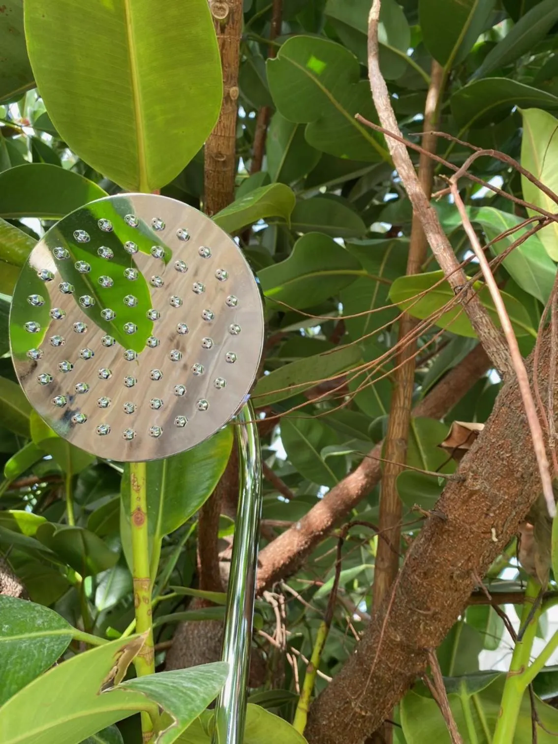 Swimming pool in Hôtel La Villa Patricia - Charme et Tradition
