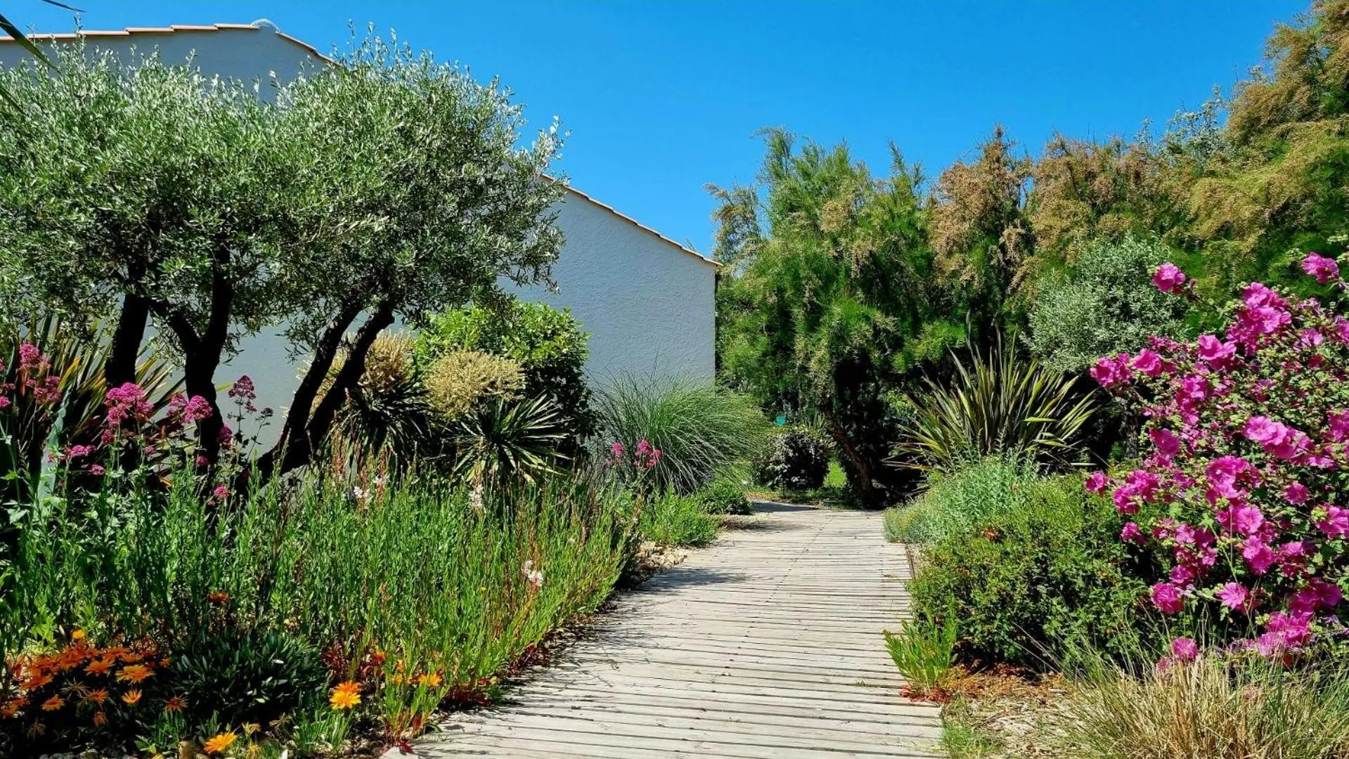 Garden in Hôtel Île de Lumière