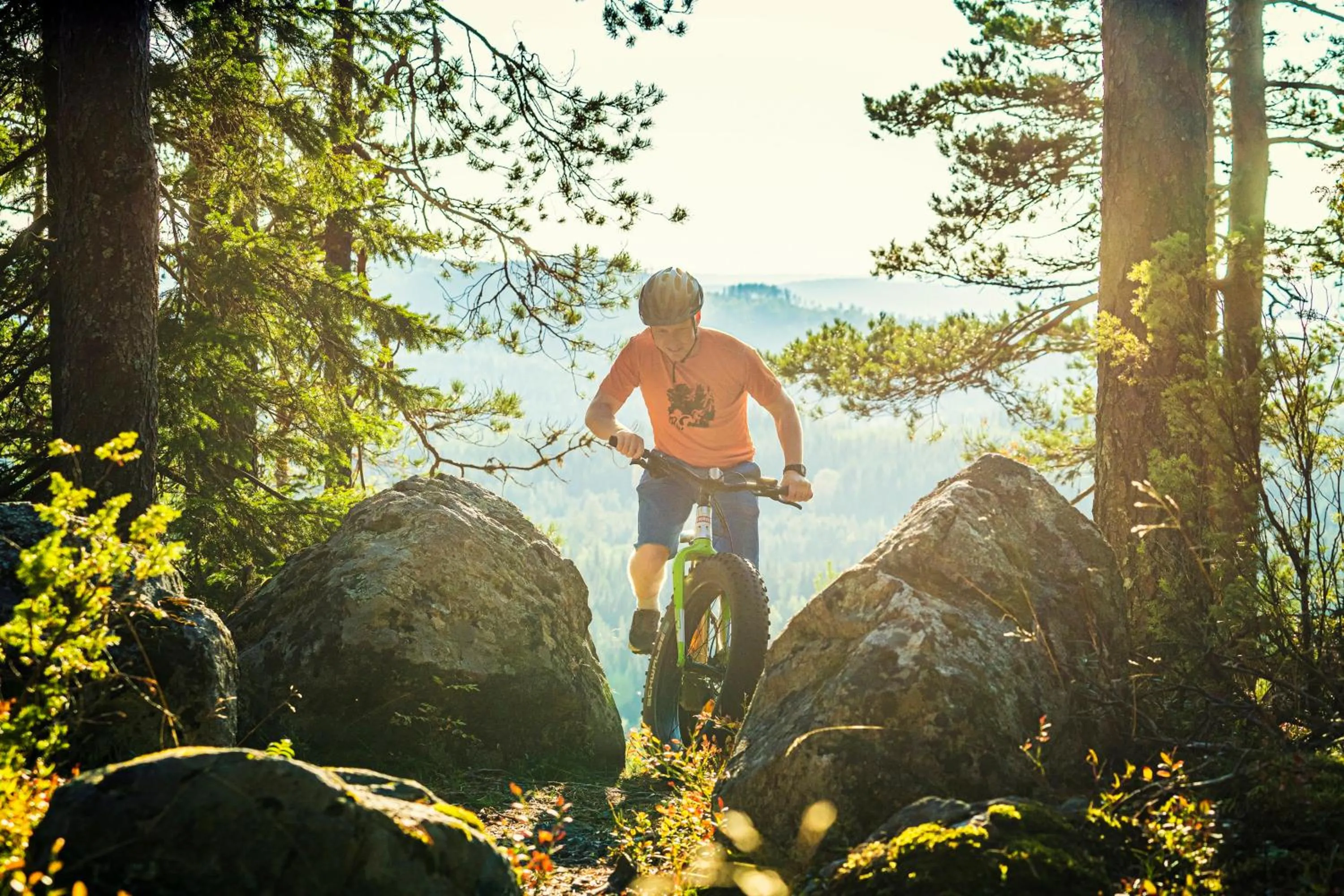 Spring in Break Sokos Hotel Koli