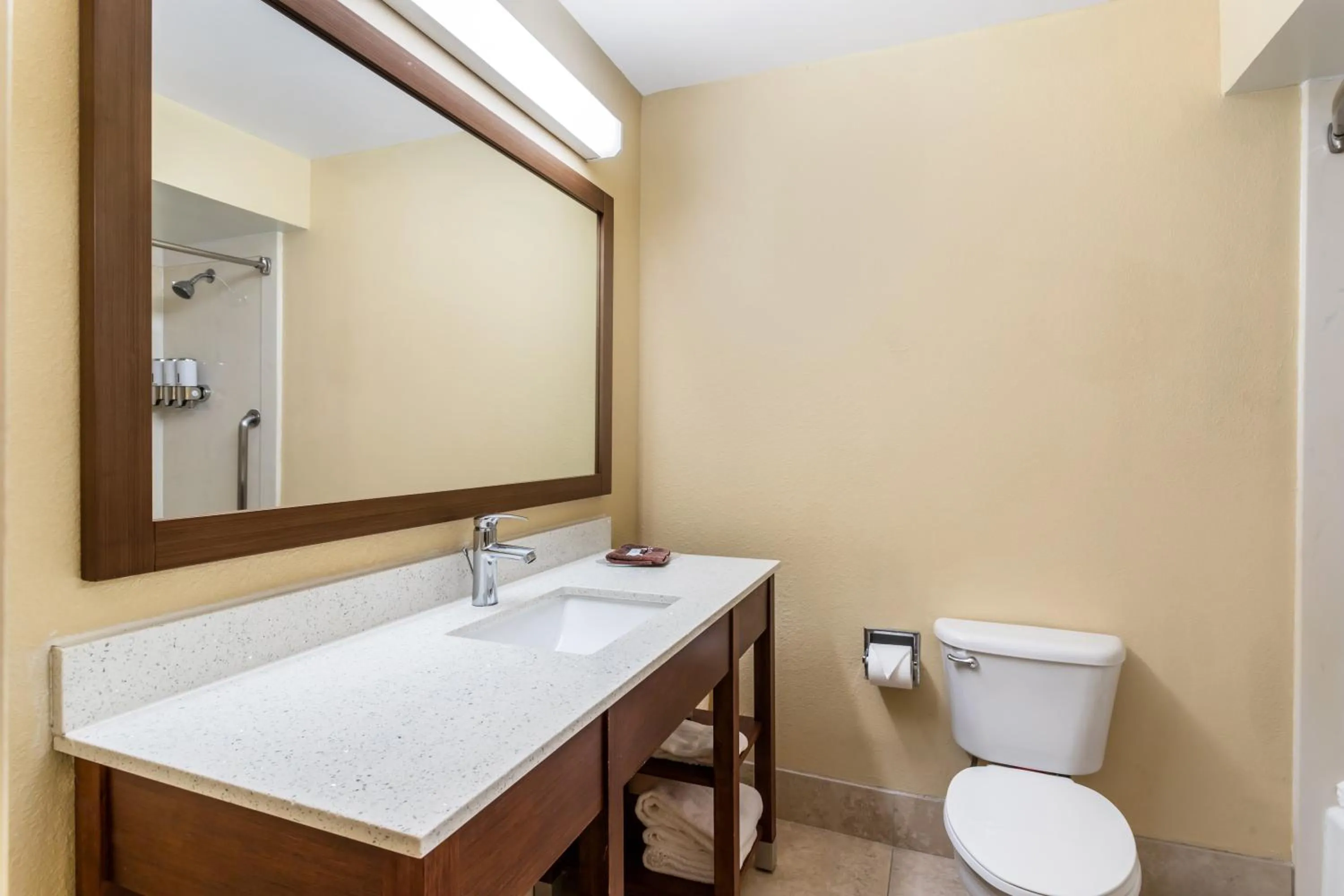 Bathroom in Comfort Suites Bush Intercontinental Airport