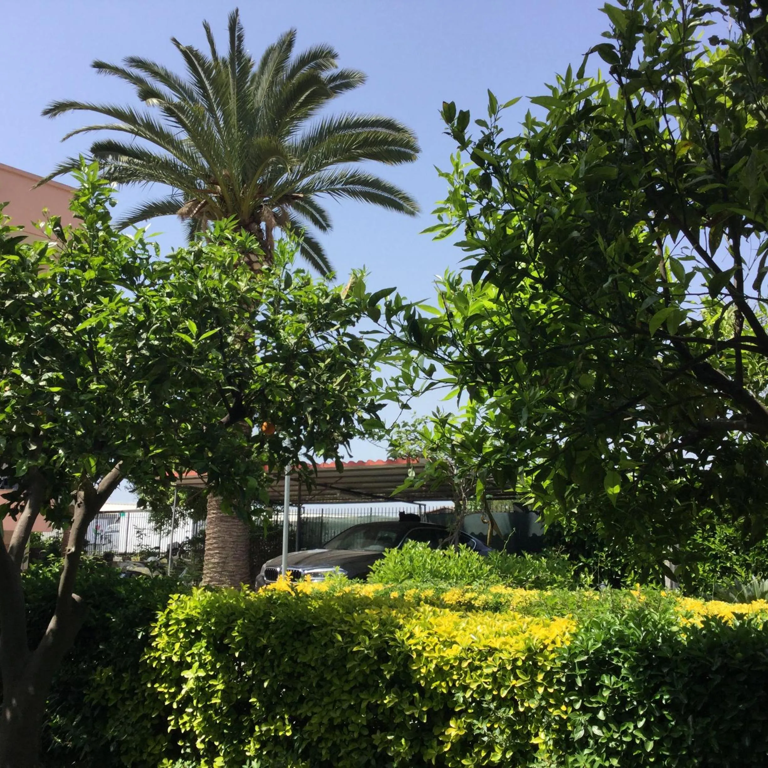 Garden view in B&B Villa Gaudium