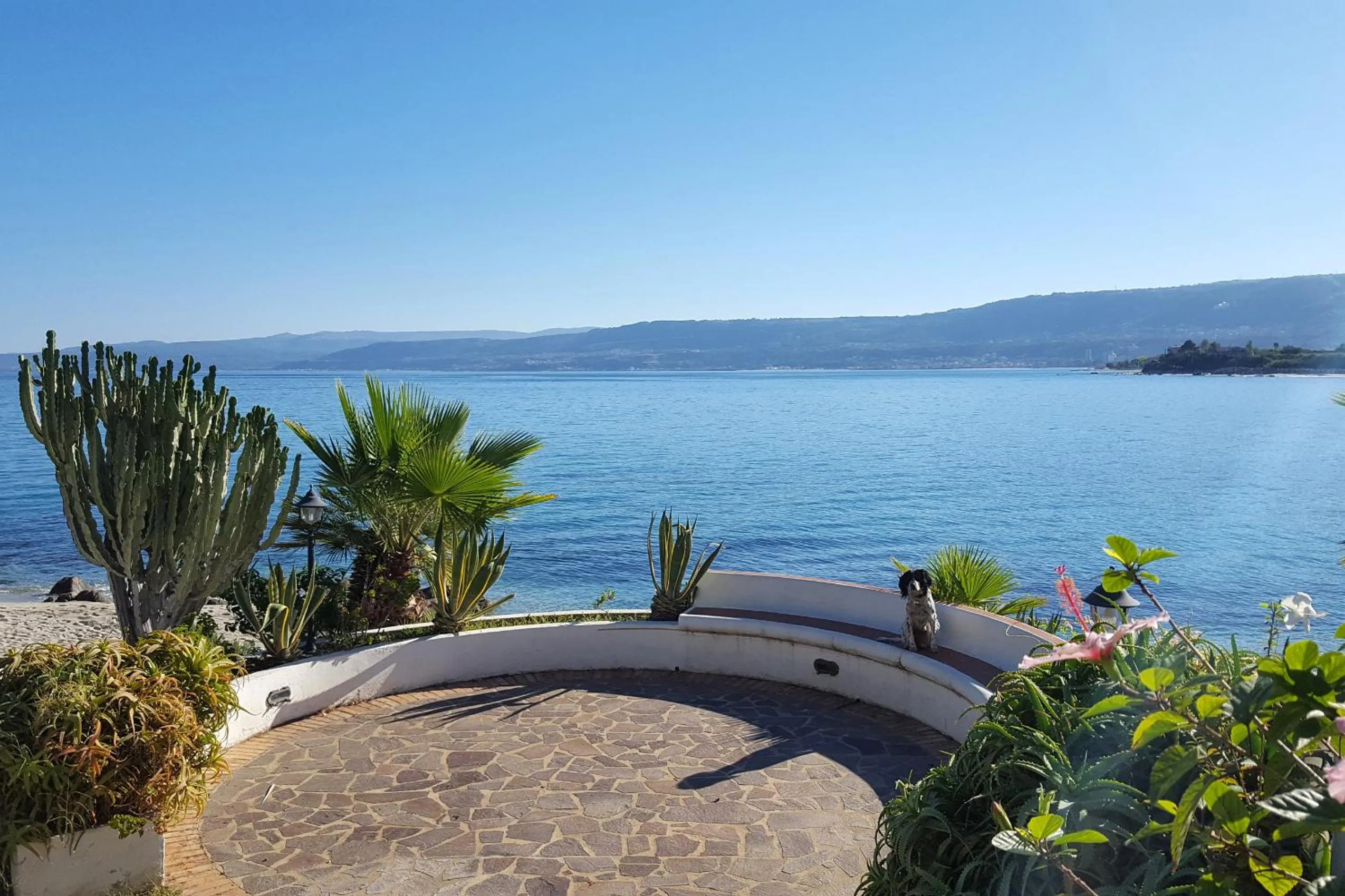 Balcony/Terrace in Residence Albatros