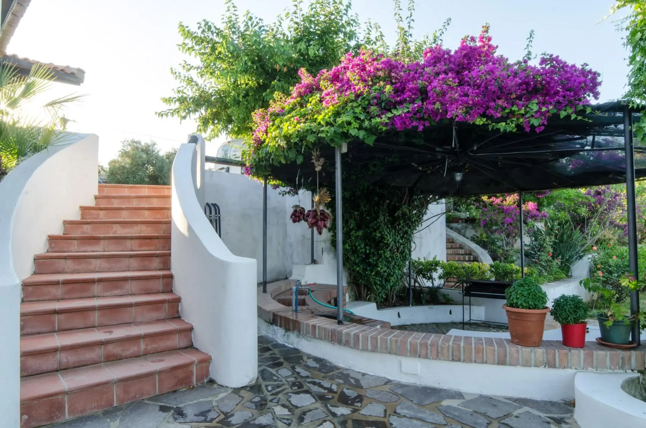 Property building in Residence Albatros