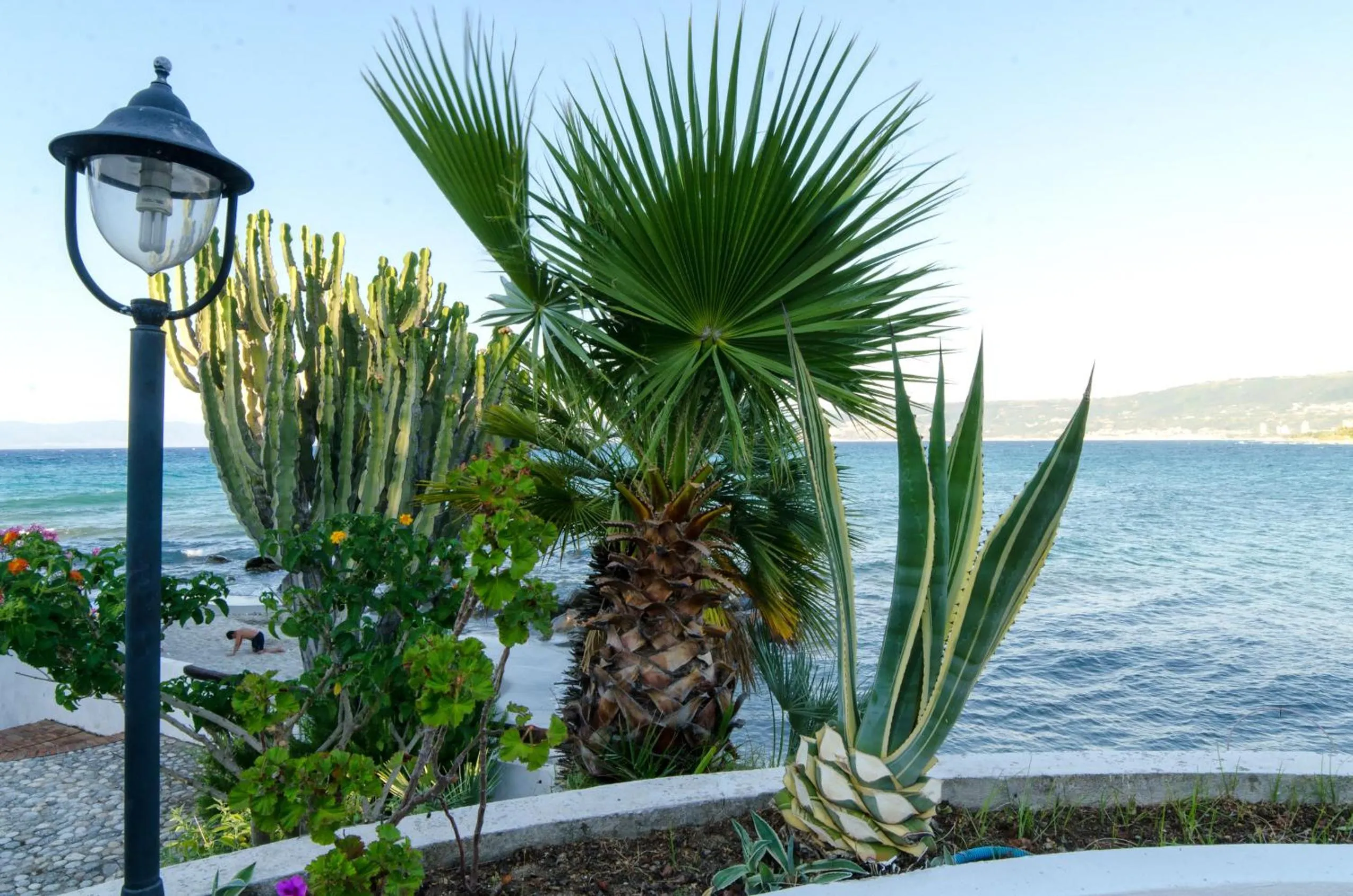 Property building in Residence Albatros