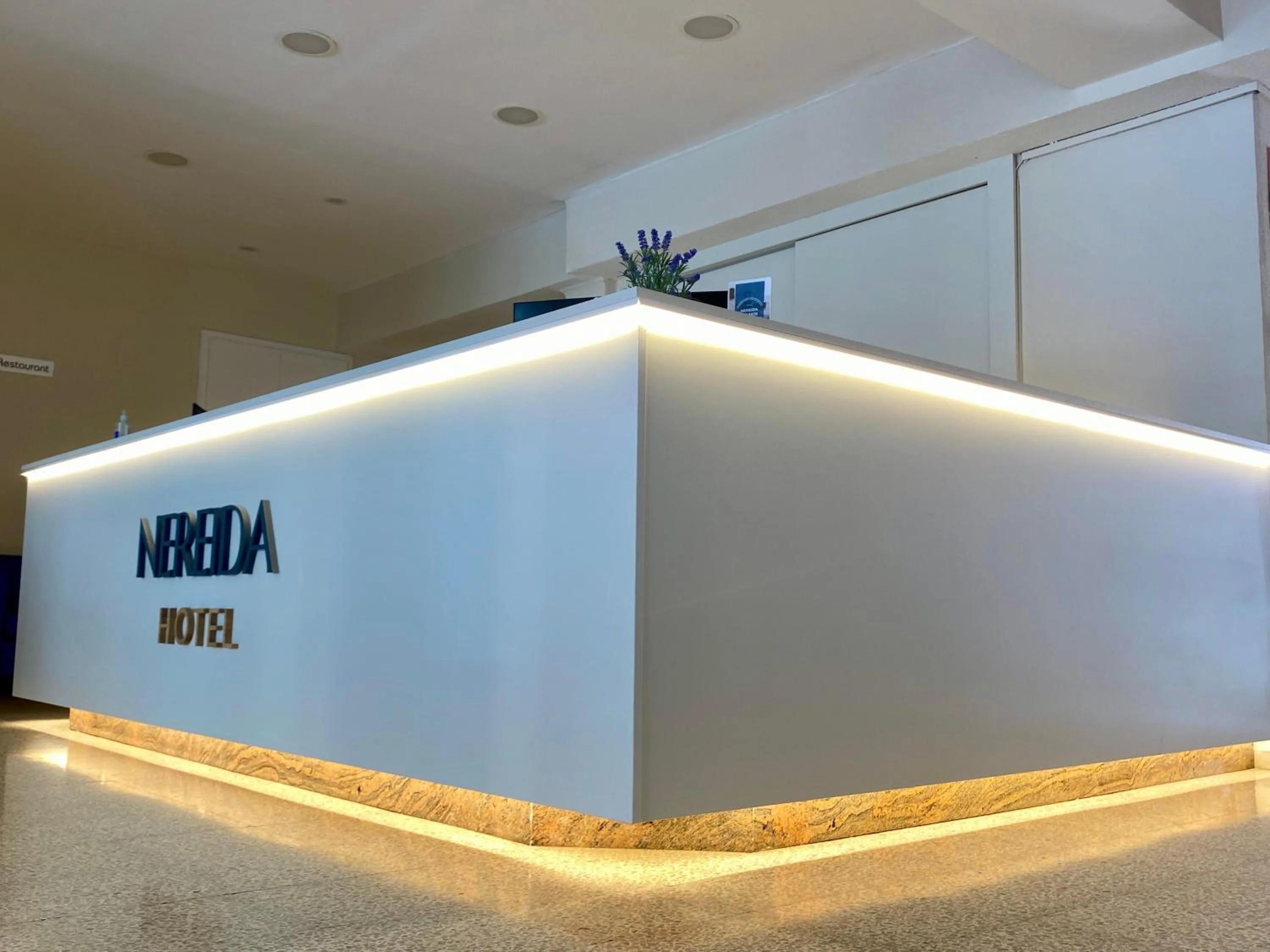 Lobby or reception in Hotel Nereida