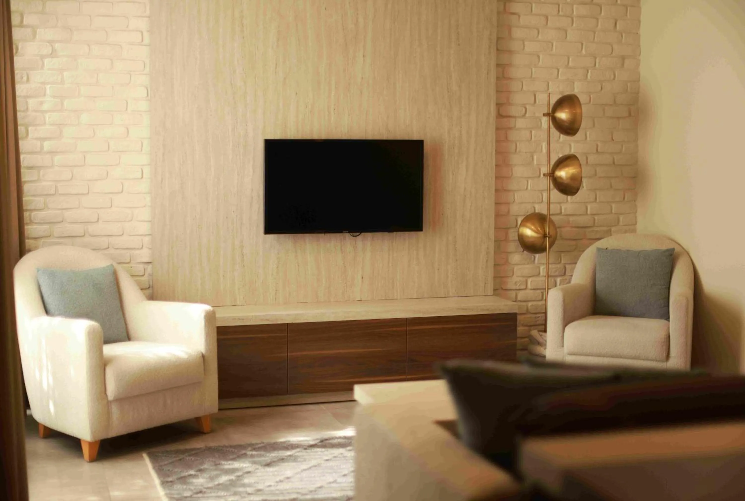 TV and multimedia in Loft 1502