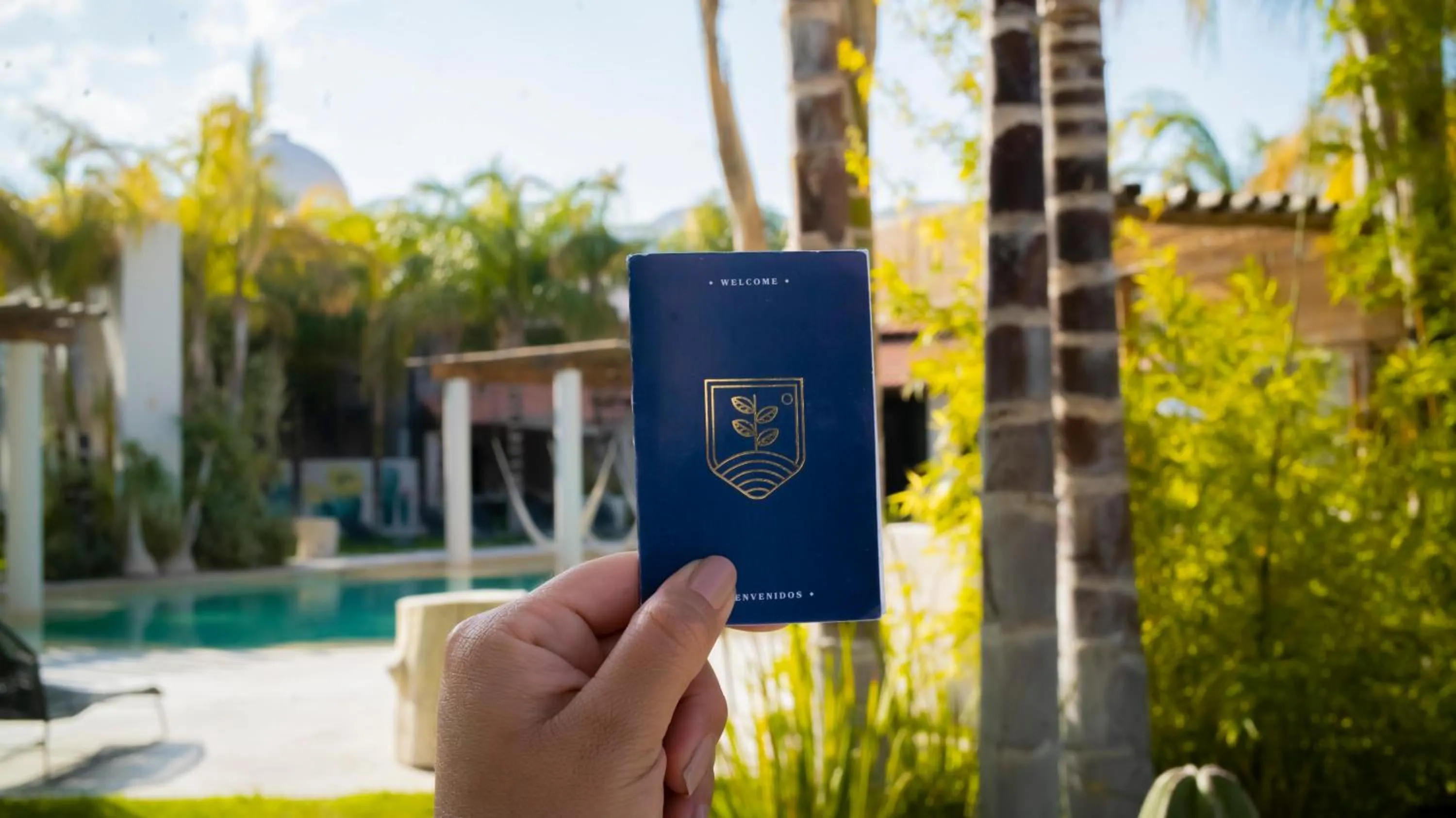 Garden view in Hacienda 1800