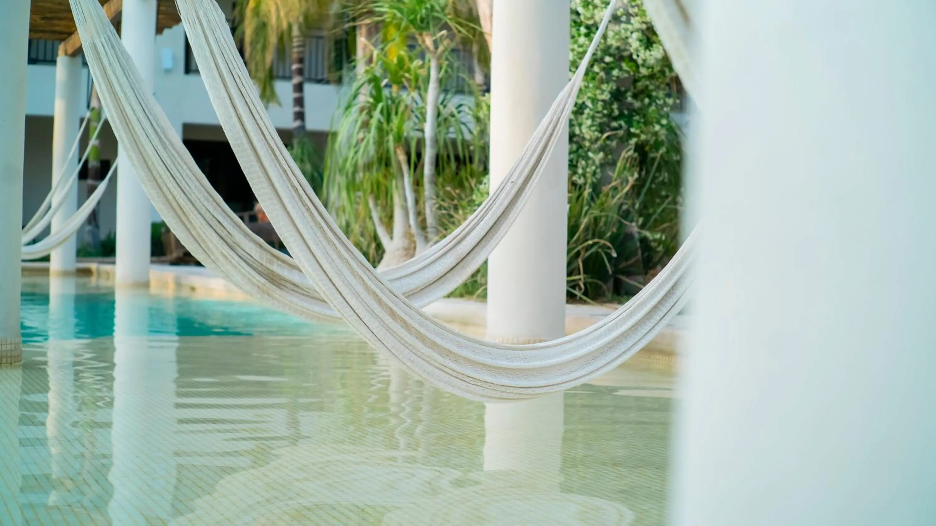 Swimming pool in Hacienda 1800