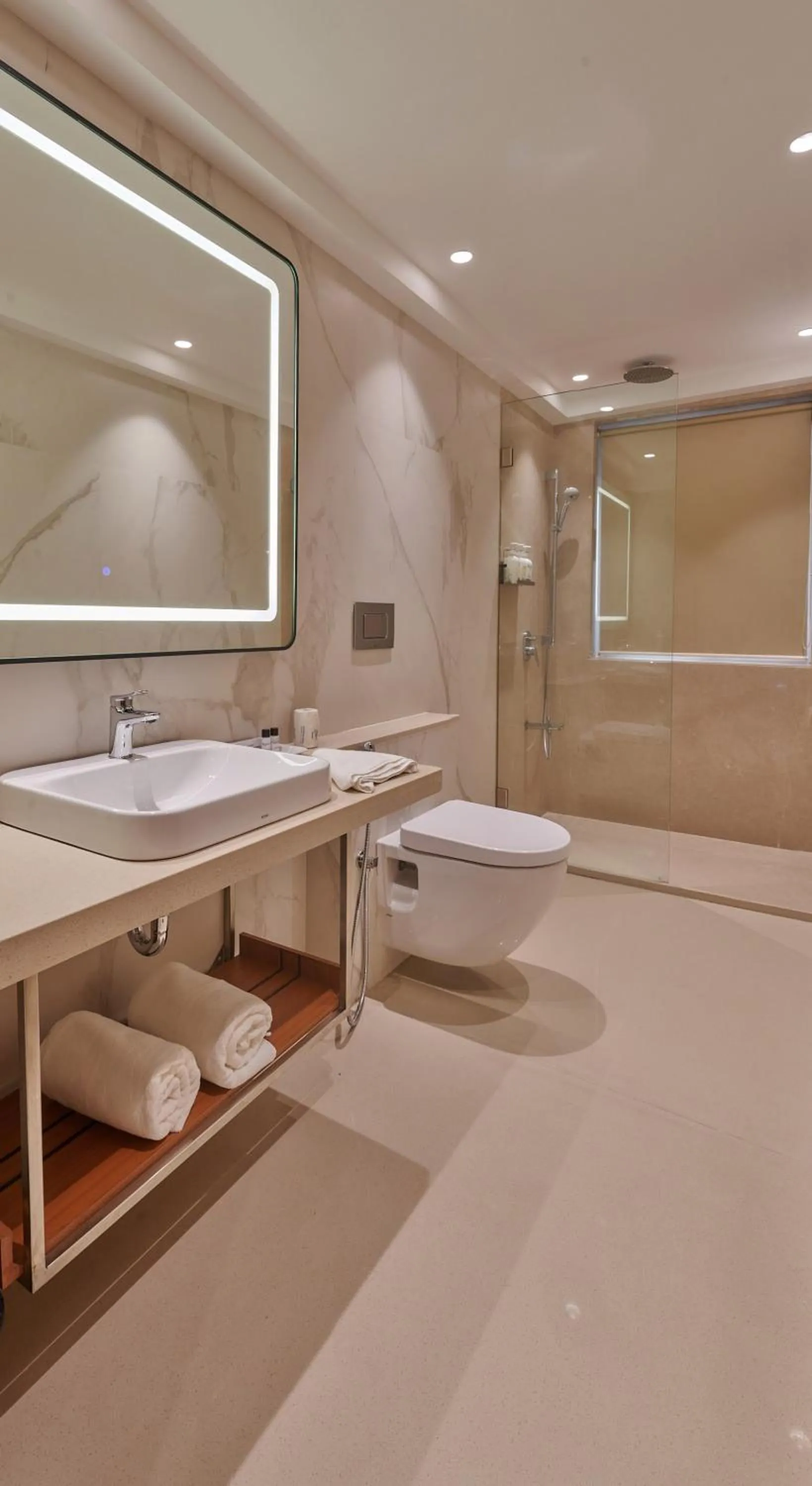 Shower in Hotel Residency Andheri