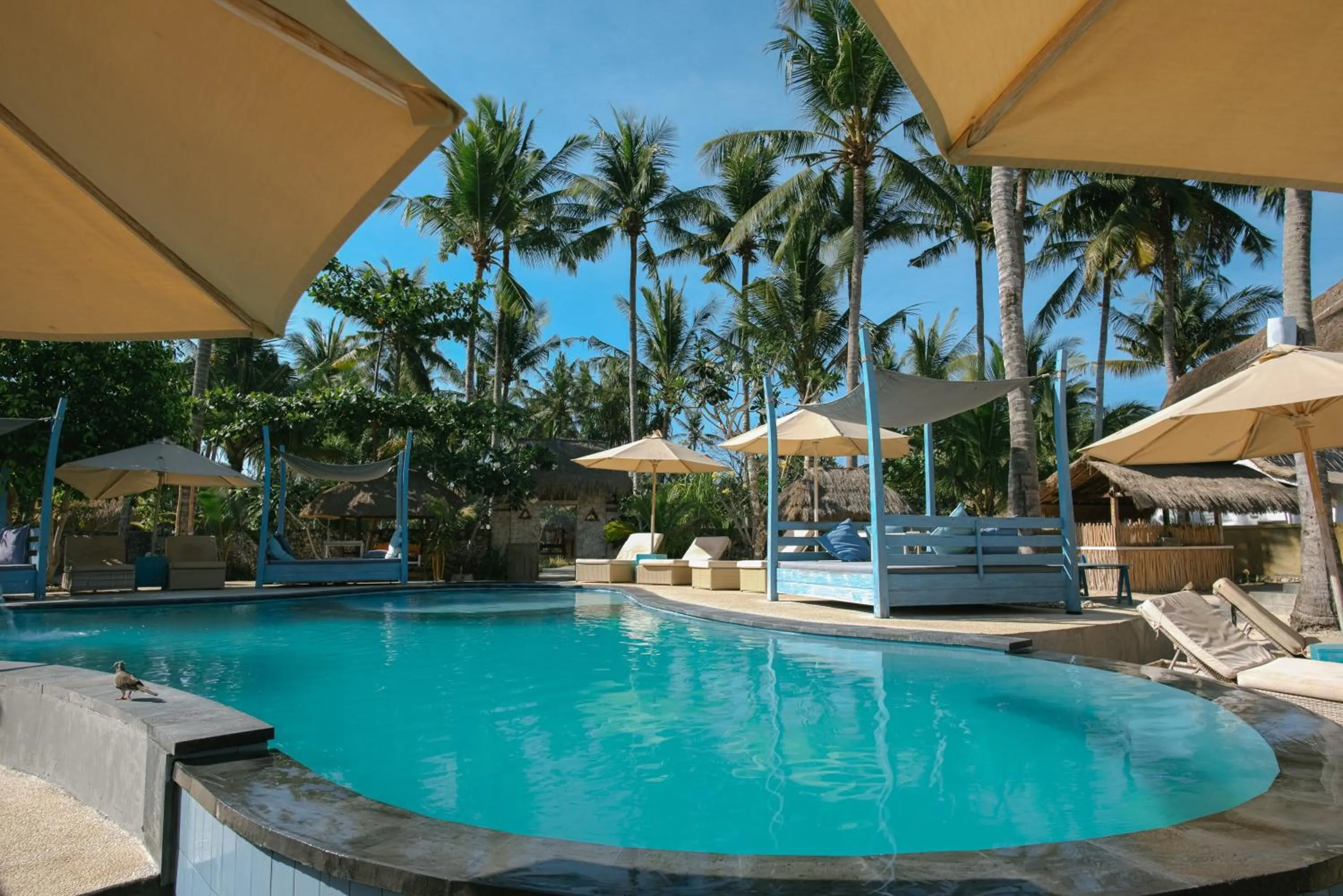 Pool view in Le Nusa Beach Club
