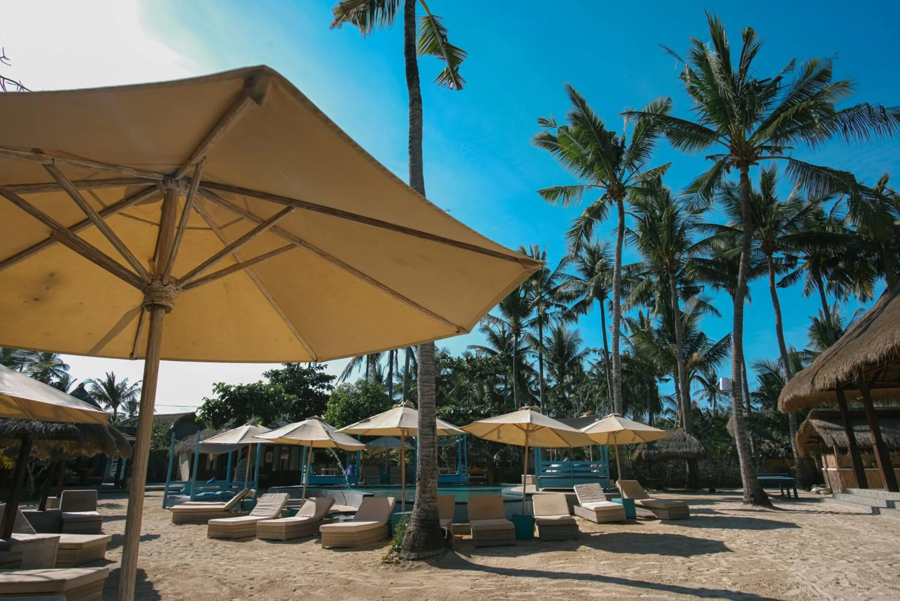 Garden view in Le Nusa Beach Club