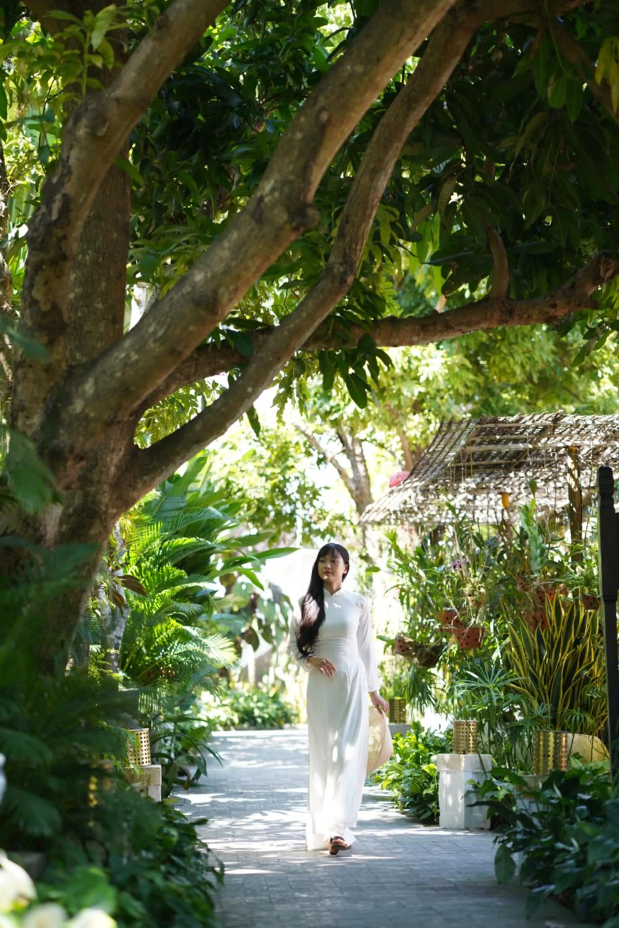 Garden view in Hoi An Ancient House Resort & Spa