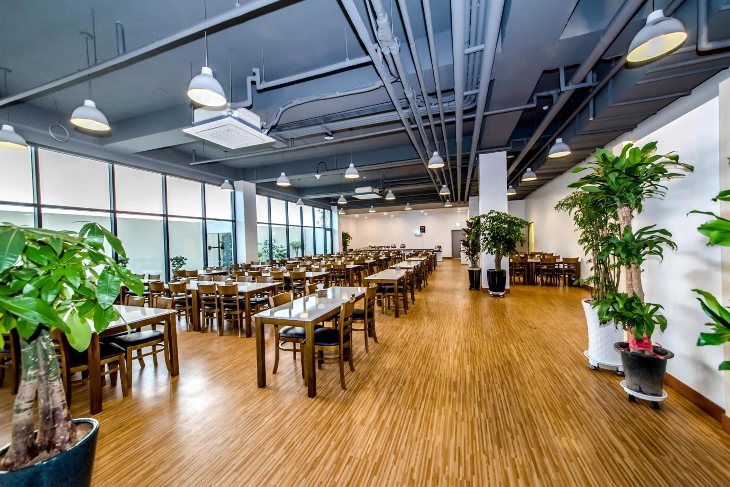 Restaurant/places to eat in Jeju In Hotel