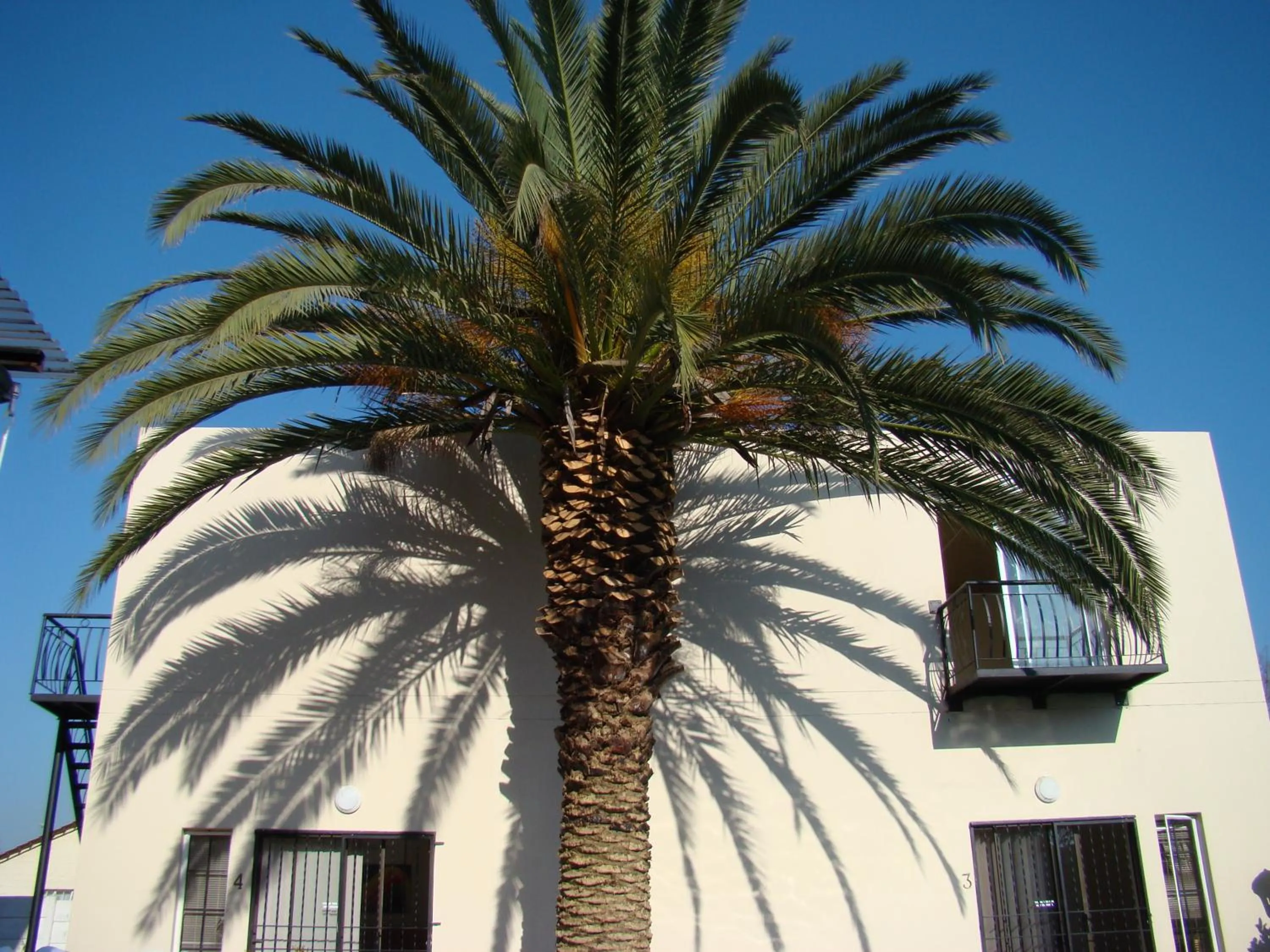 Day in Louhallas Accommodation