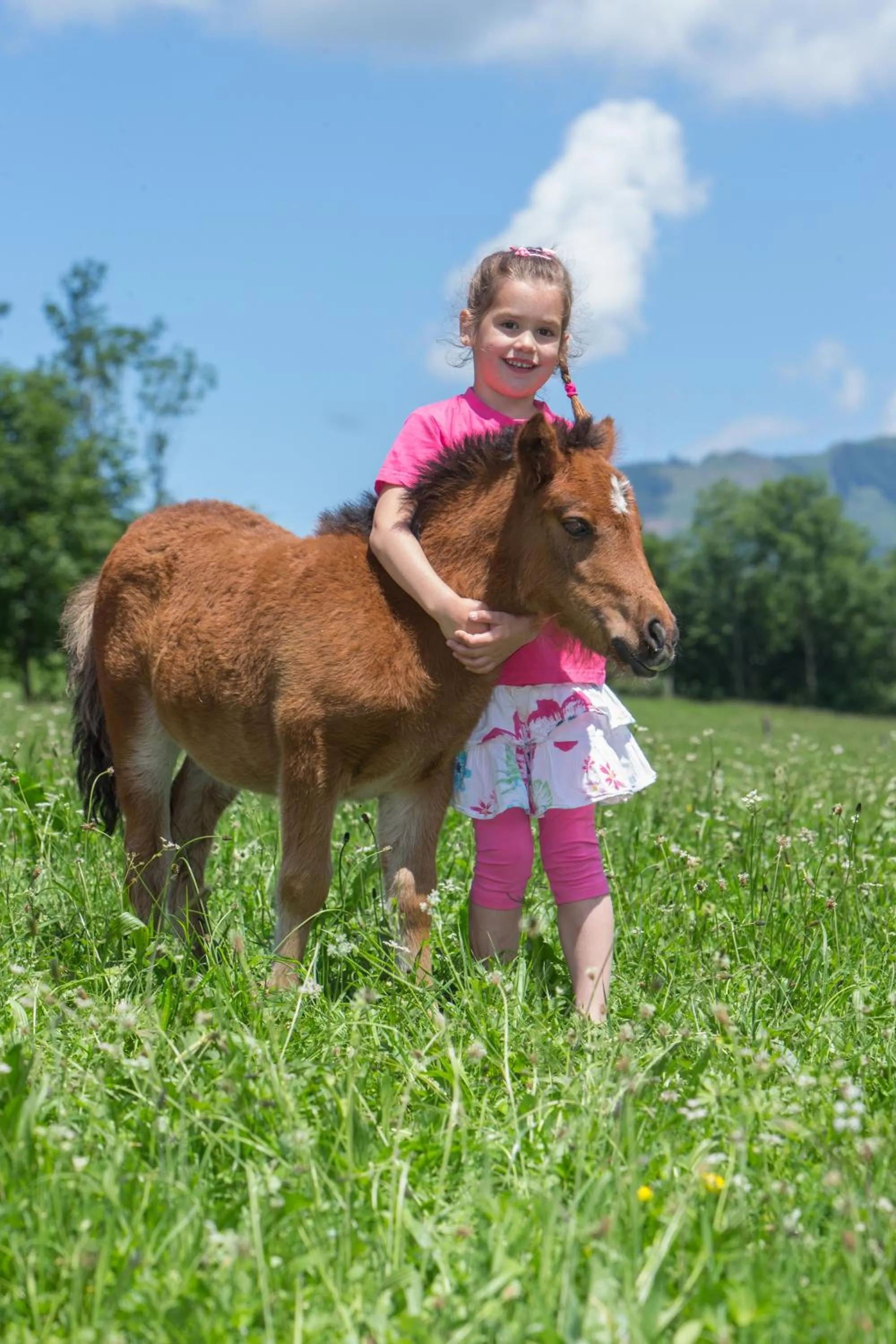 Animals in Feriendorf Ponyhof