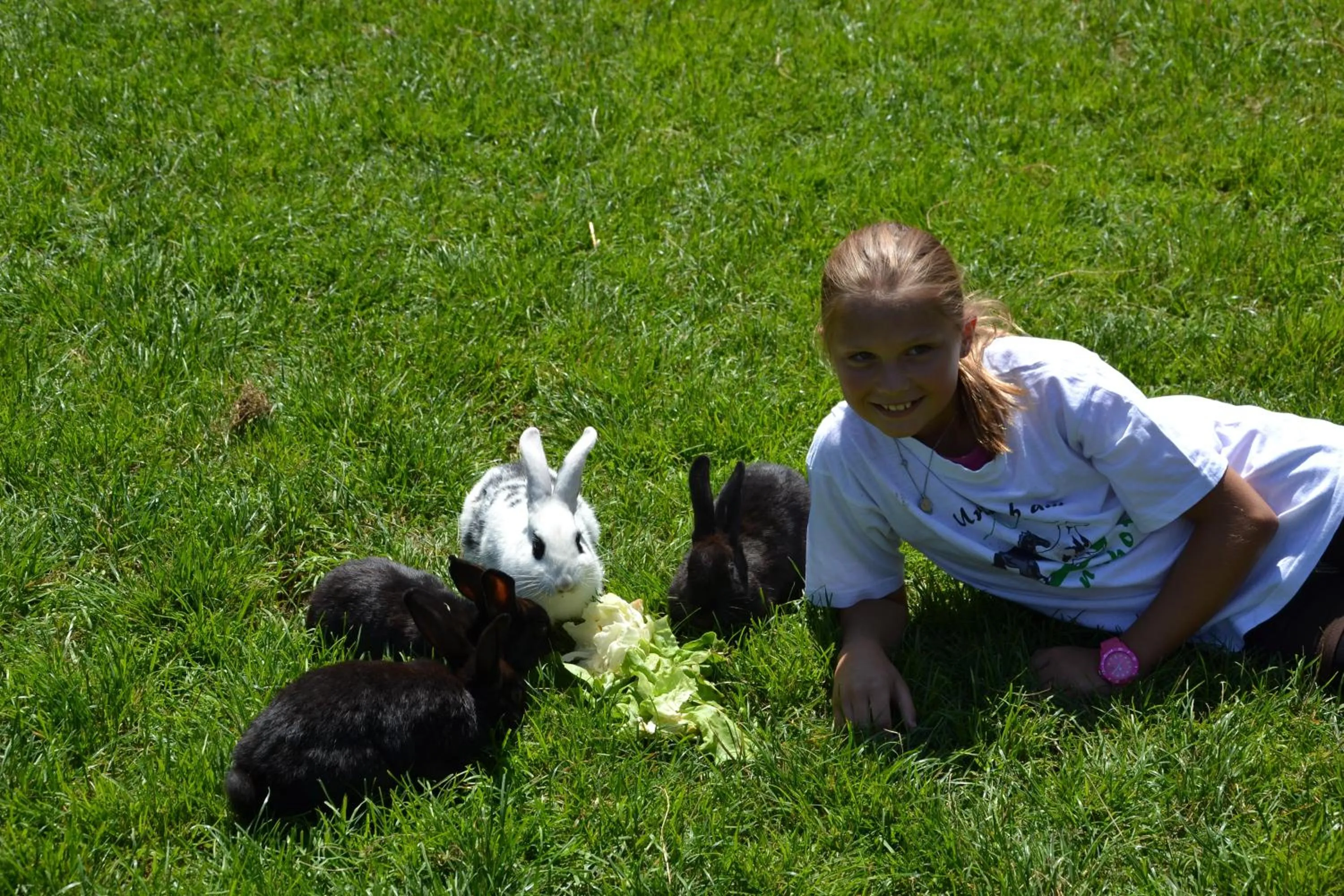 young children in Feriendorf Ponyhof