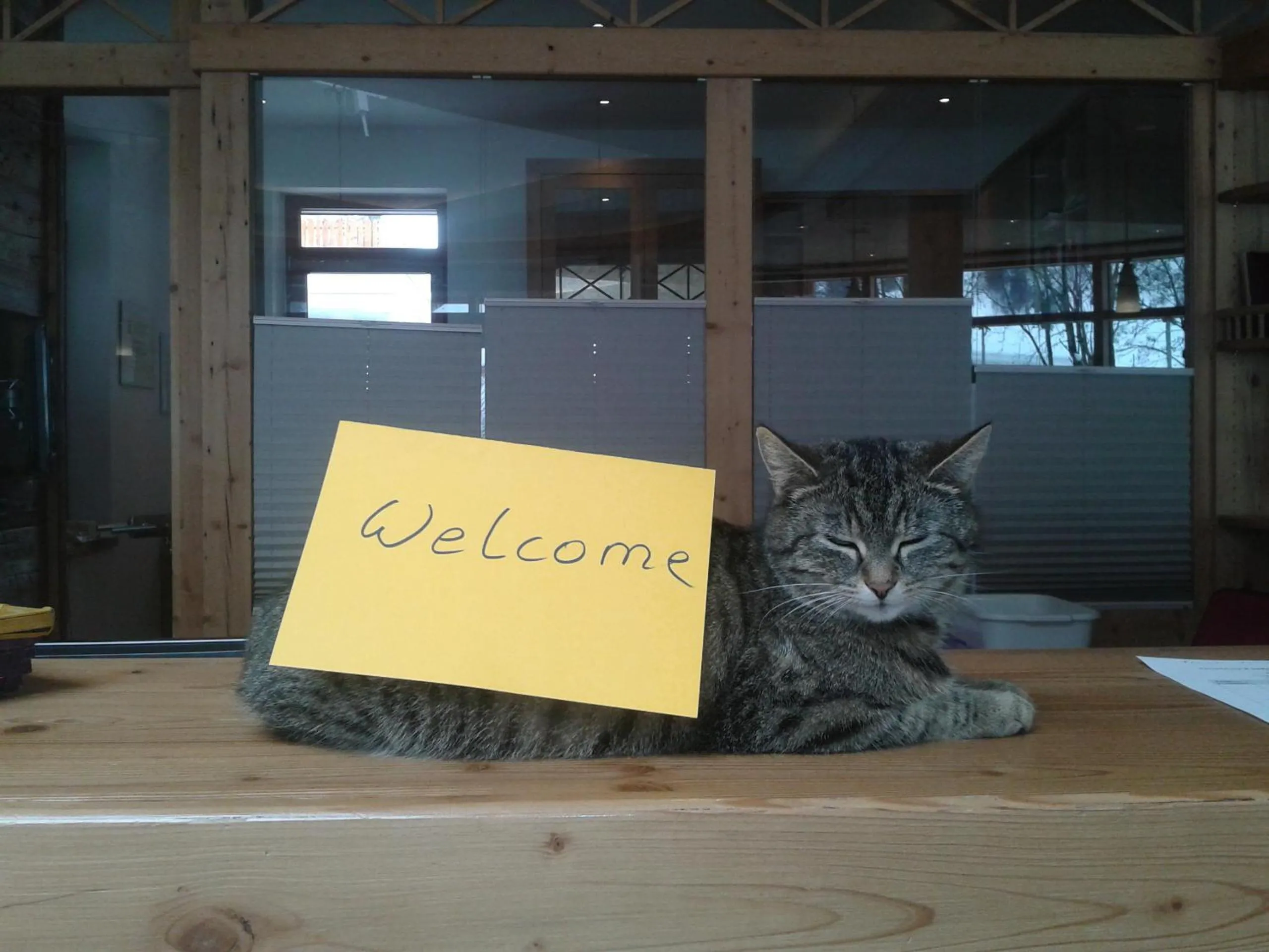 Pets in Feriendorf Ponyhof