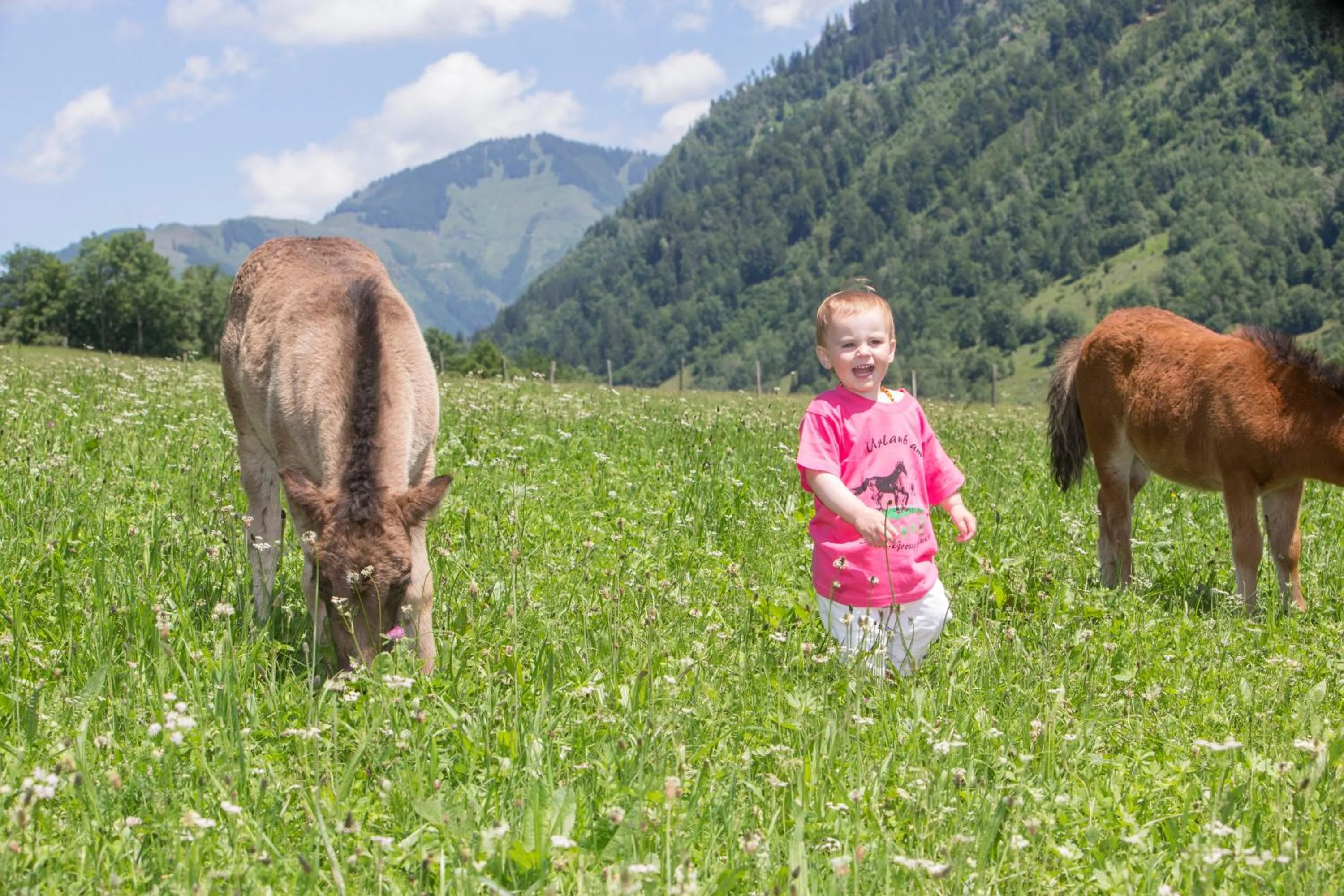 Day in Feriendorf Ponyhof