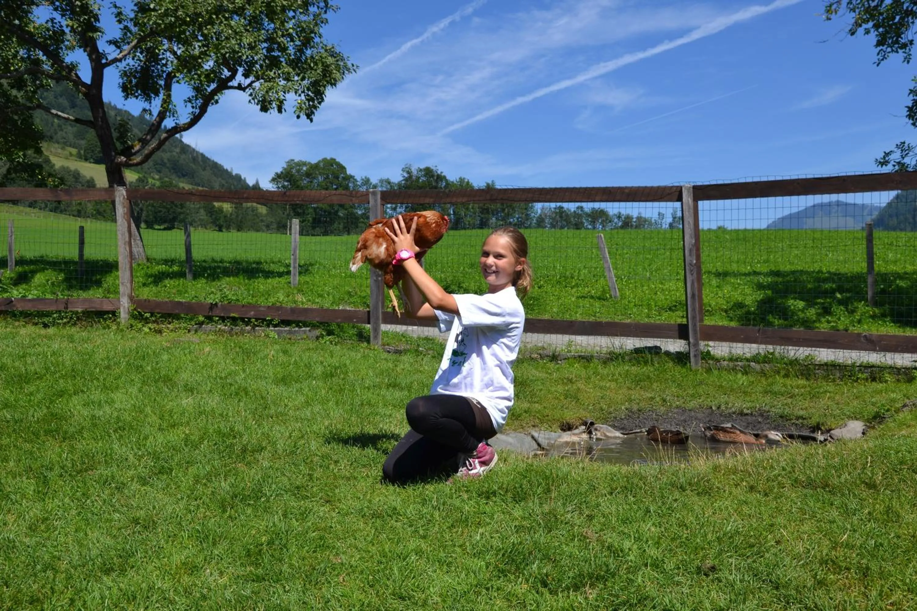 Day in Feriendorf Ponyhof