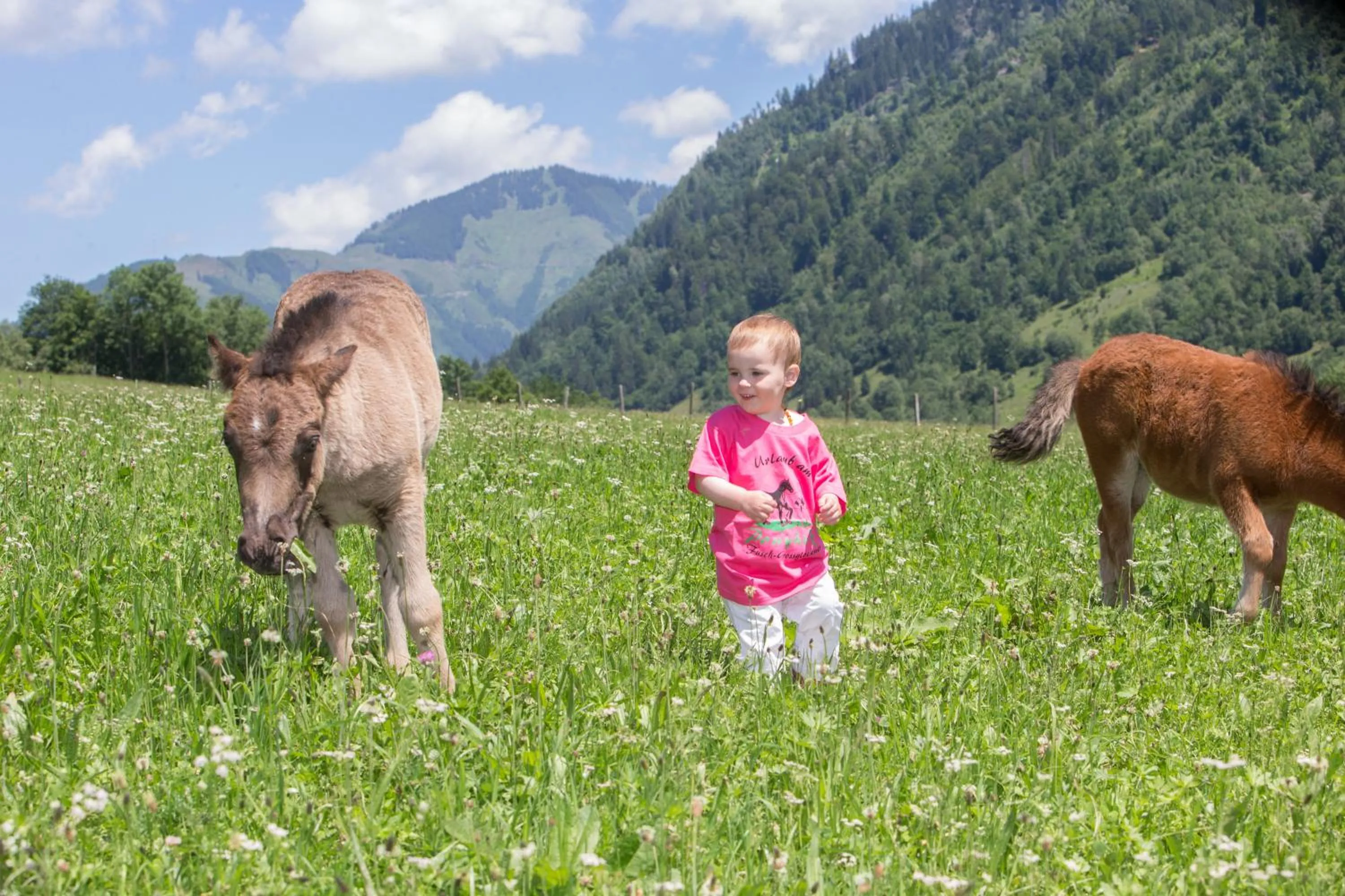Day in Feriendorf Ponyhof
