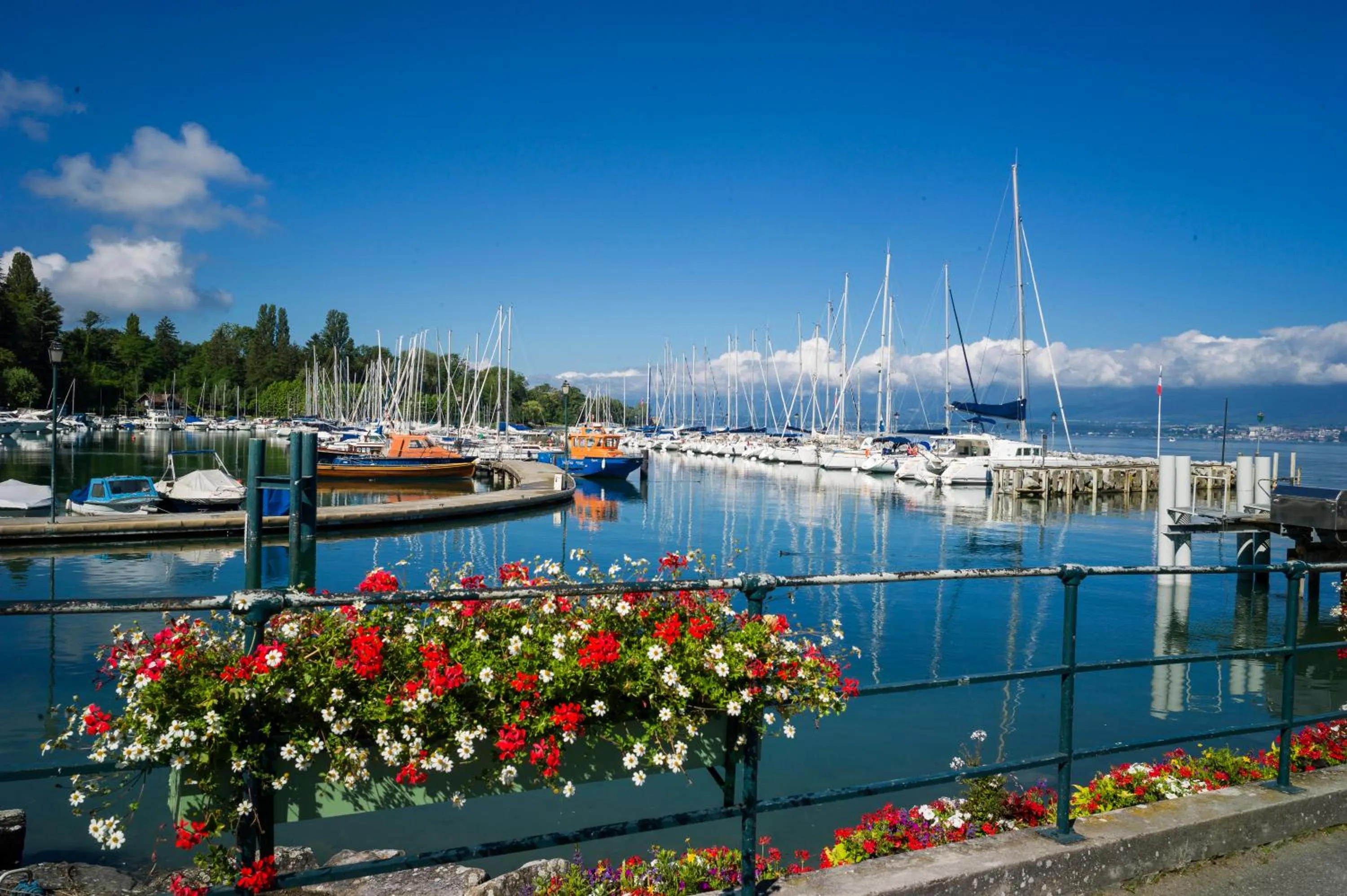 Area and facilities in Hôtel Restaurant Du Port