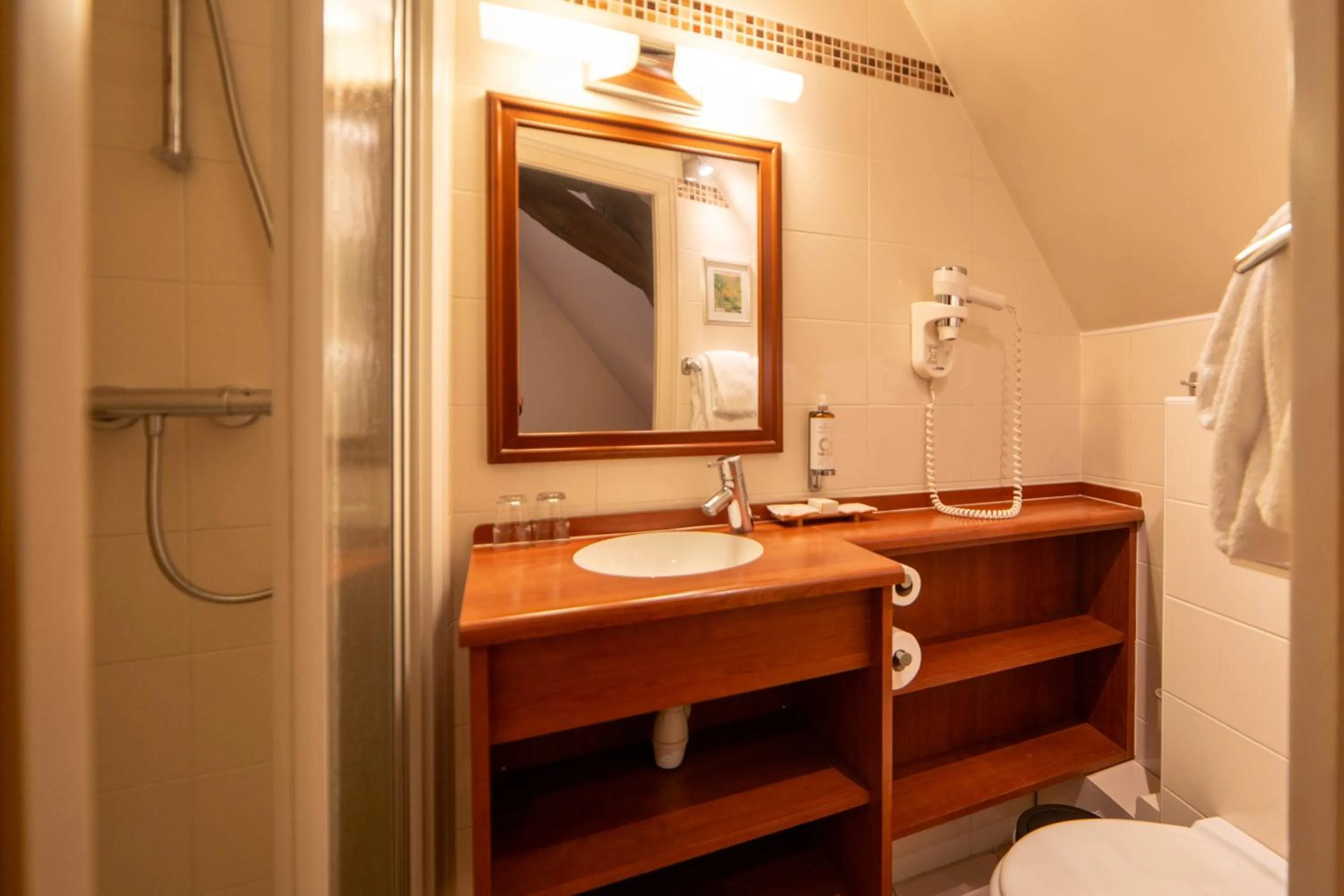 Shower in Hôtel Wilson - Teritoria