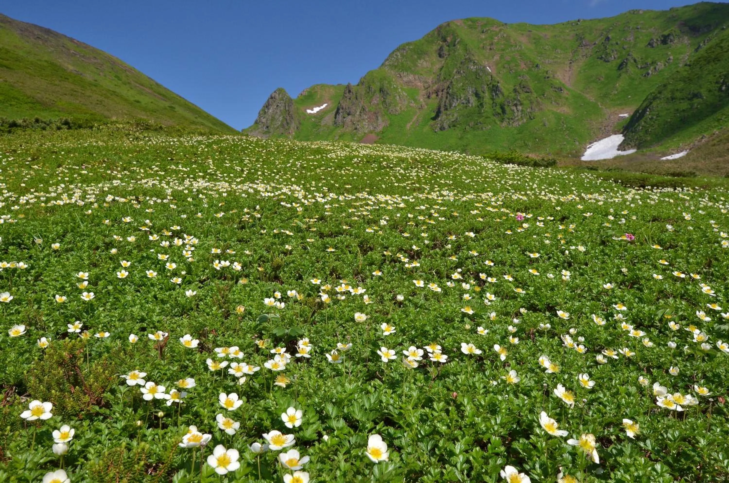 Nearby landmark in KAMENOI HOTEL Tazawako